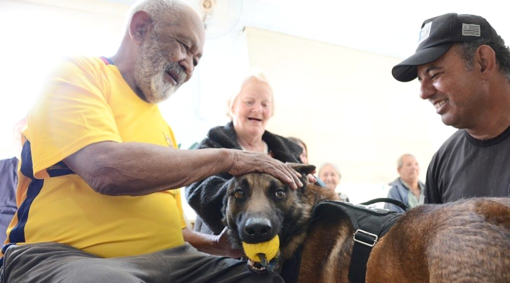 Brincar com os cães faz bem: reduz a ansiedade, melhora o humor e incentiva a conversa