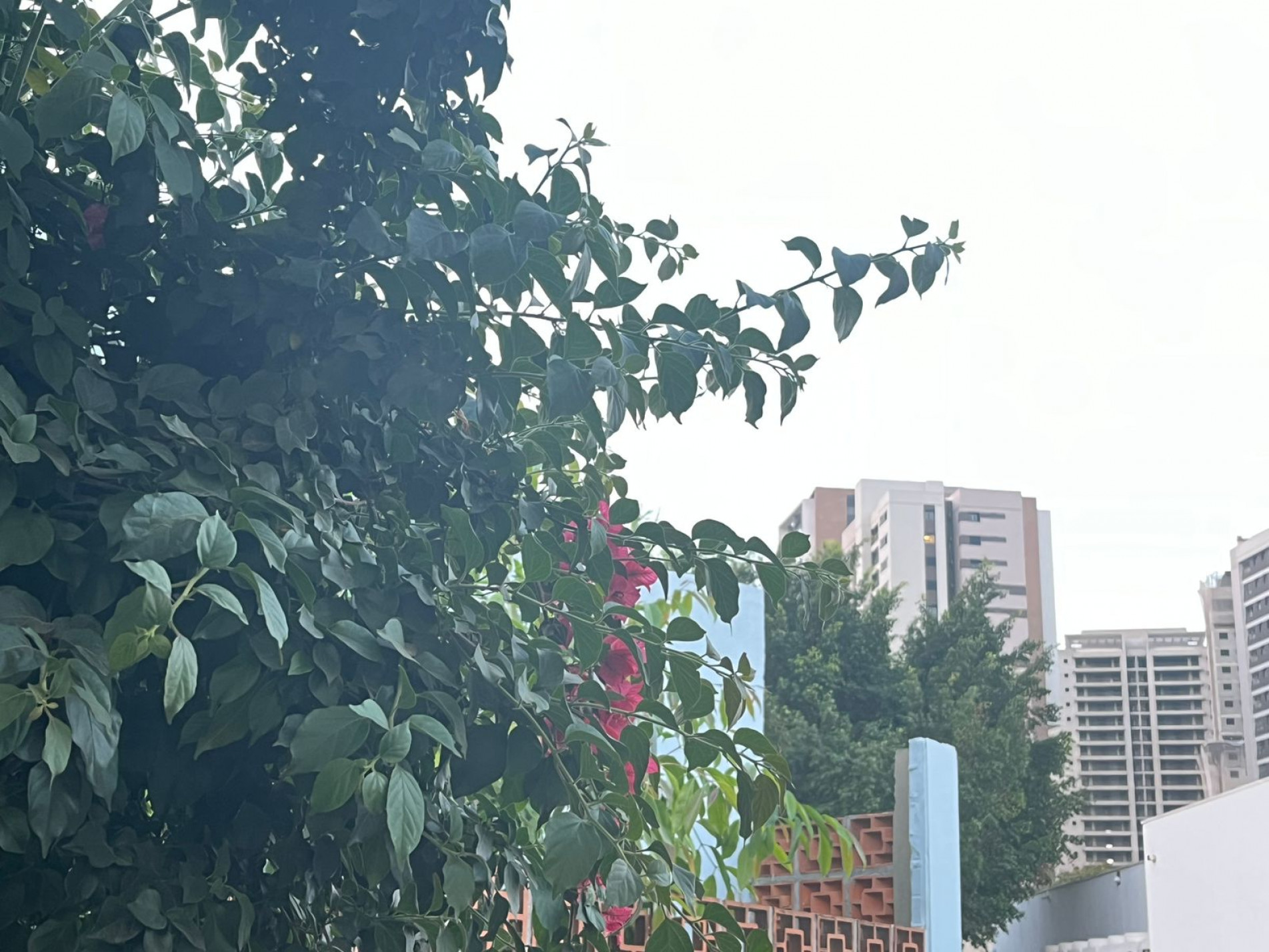 O tempo começa a mudar mesmo a partir da noite de domingo (21)