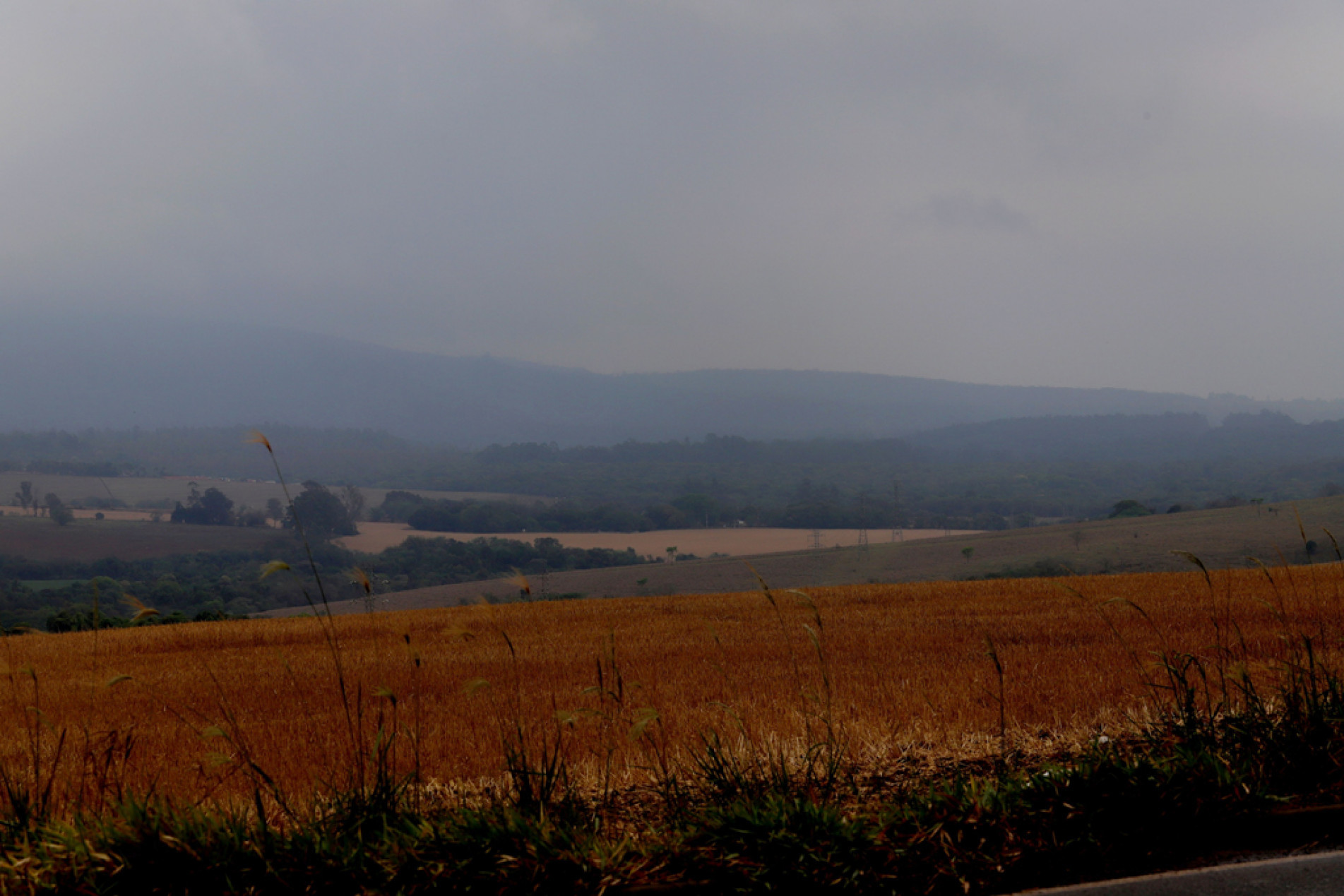 Principais focos foram eliminados e brigadistas prosseguem fazendo o rescaldo