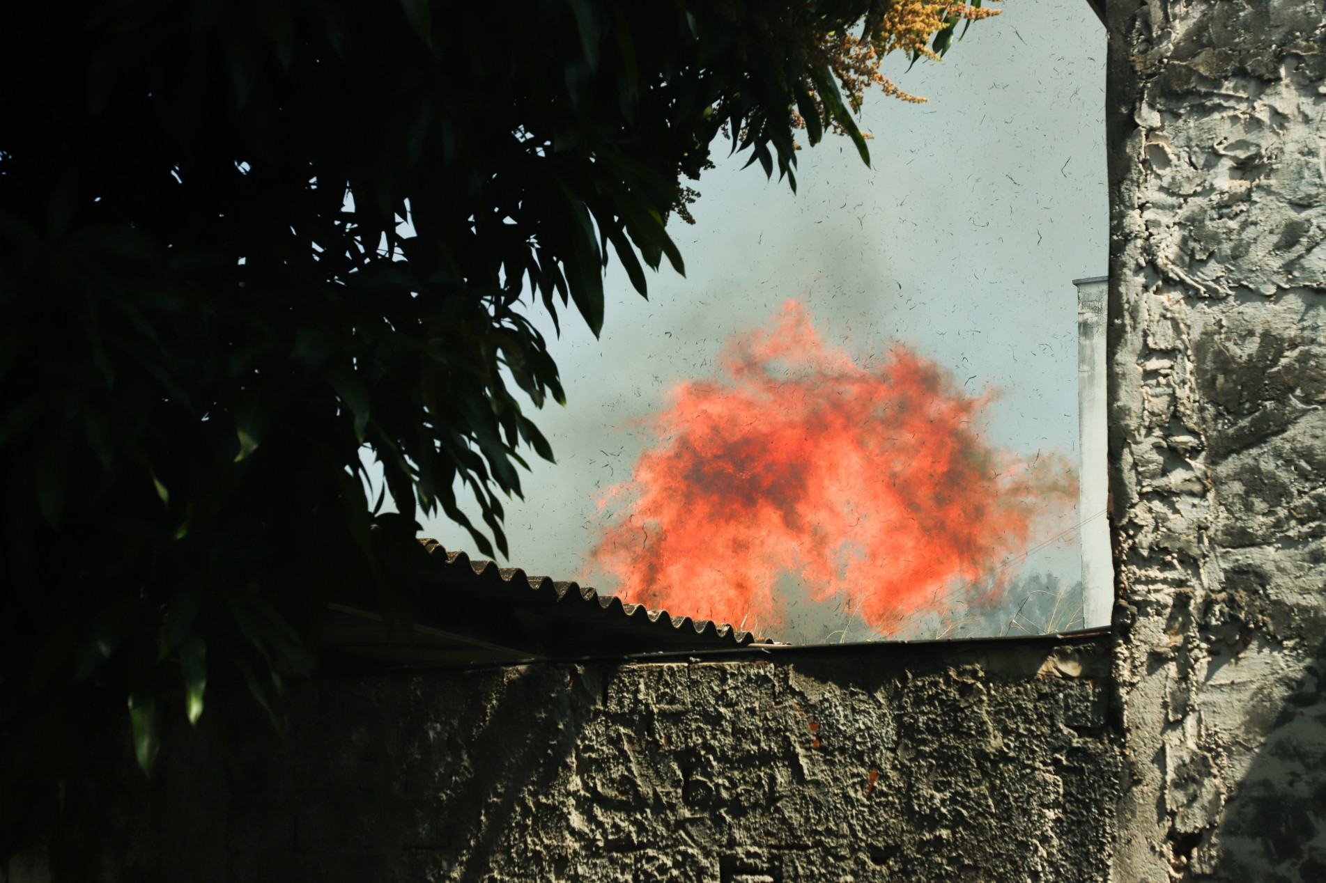 Calor intenso e baixa umidade do ar favorecem rápida propagação do fogo em áreas de vegetação seca