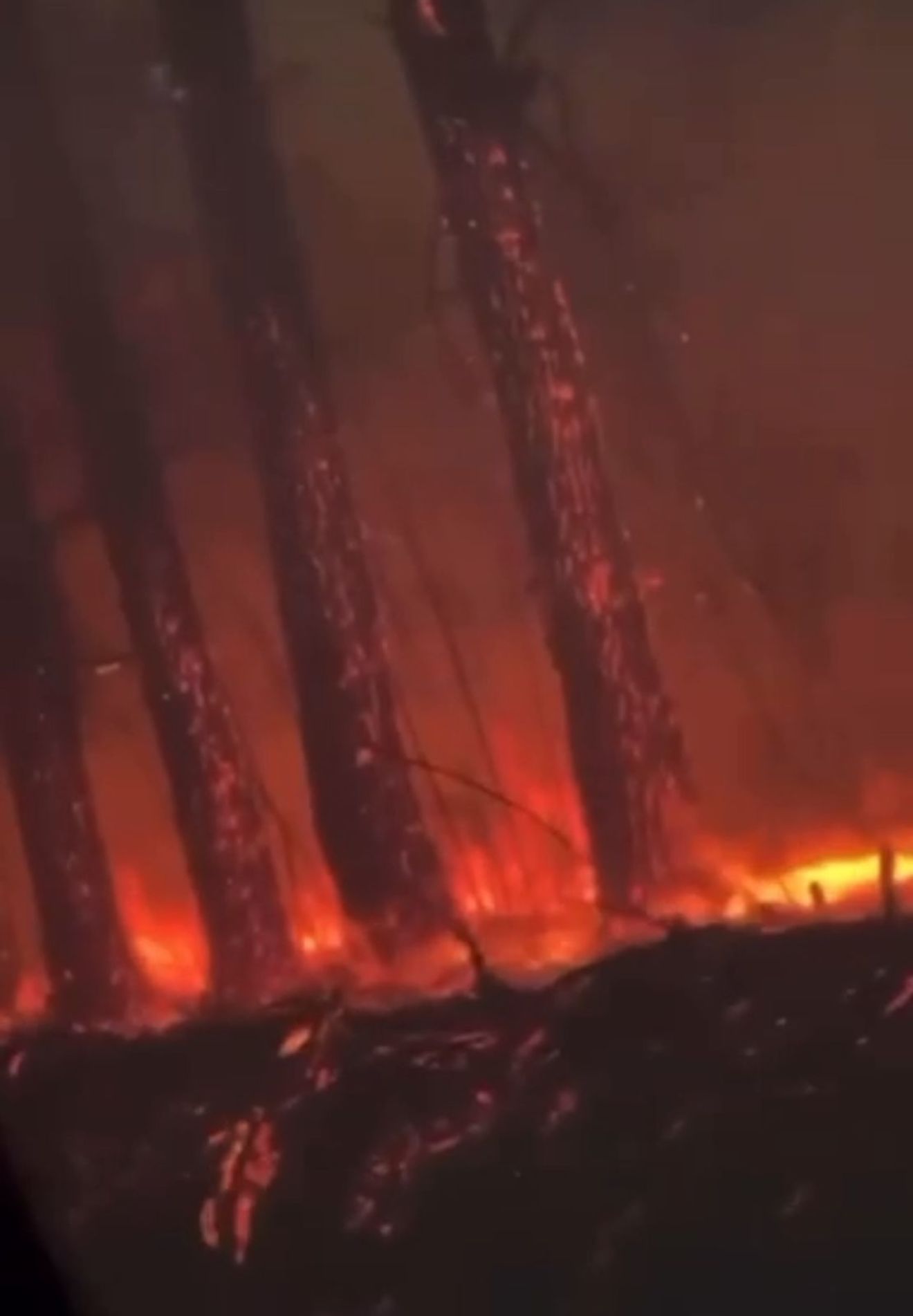 Um incêndio atingiu a vegetação da estrada do Ipatinga, próxima ao condomínio Vivendas do Lago, entre Sorocaba e Iperó