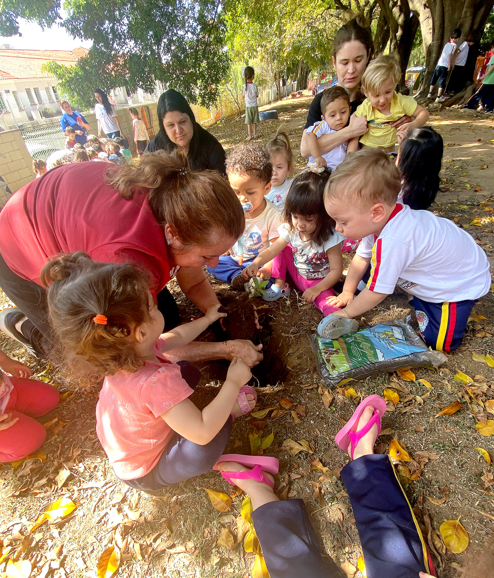 Pequenos cuidadores participaram de 
plantio coletivo e 
descobriram os 
segredos das 
plantas e árvores 
frutíferas