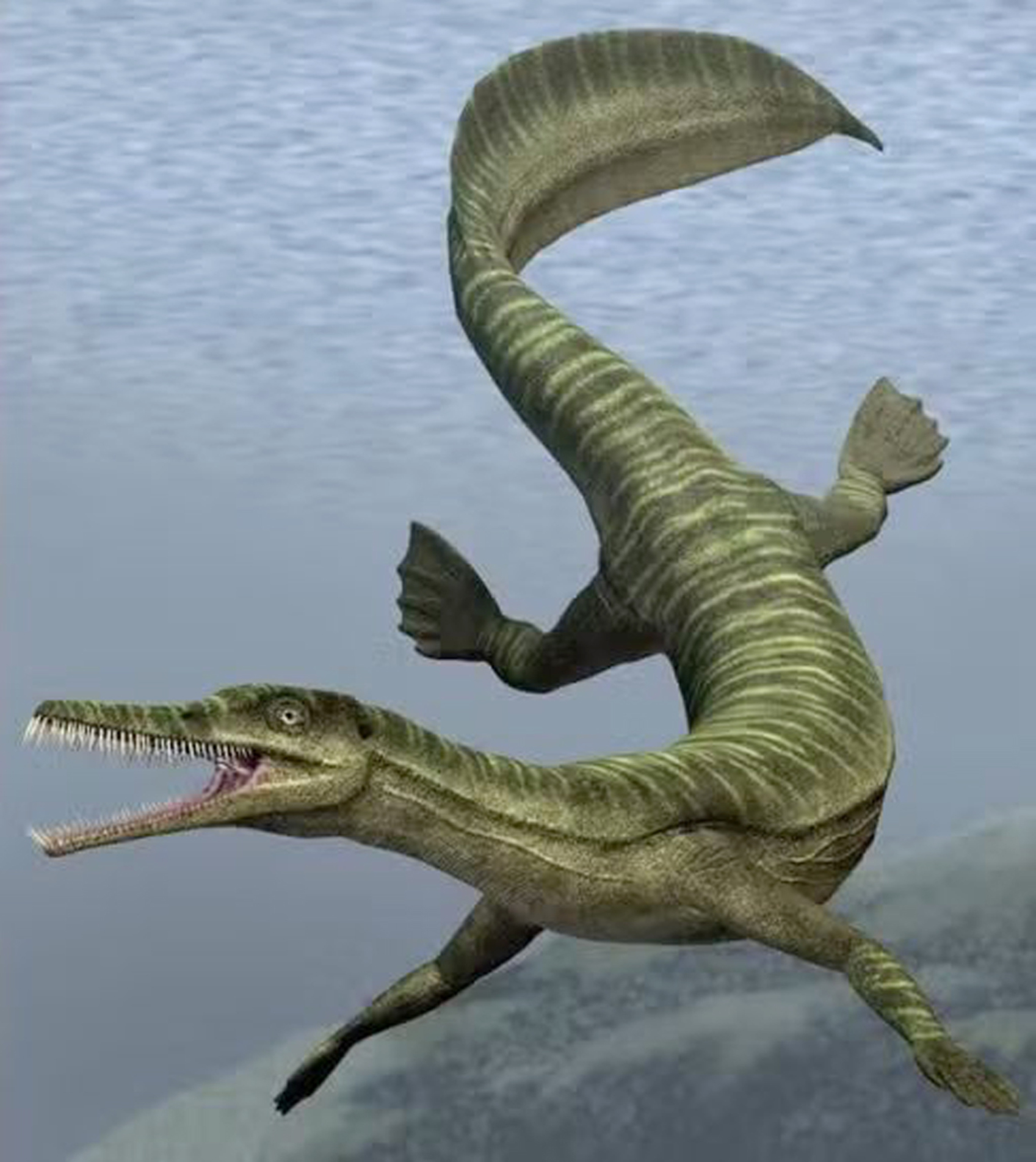Mesosaurus viveu há 280 milhões de anos

