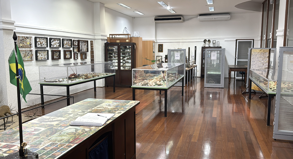 Museu de História Natural tem mais de 3 mil itens
