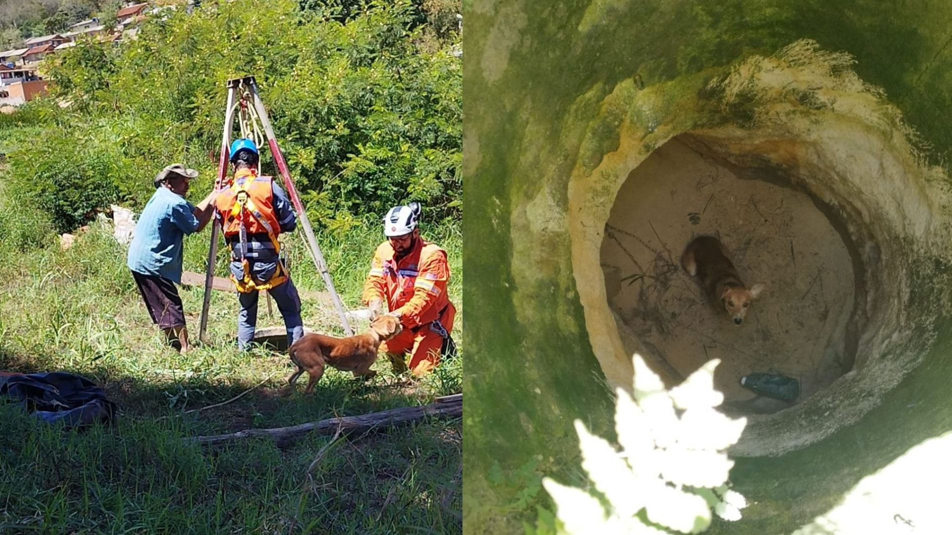 O proprietário do espaço foi orientado a vedar o poço para evitar novos acidentes