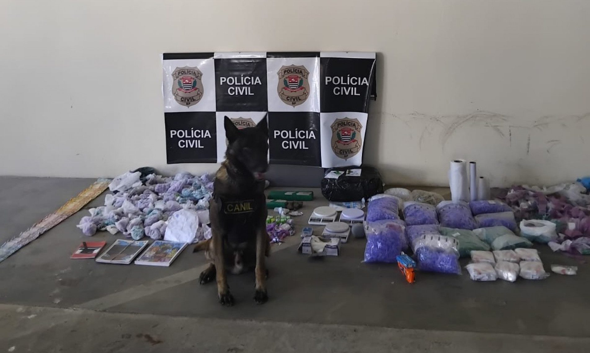 Os policiais apreenderam diversos tipos de drogas, entre elas, a dry marroquino -- extraído da maconha, e é mais forte que a original