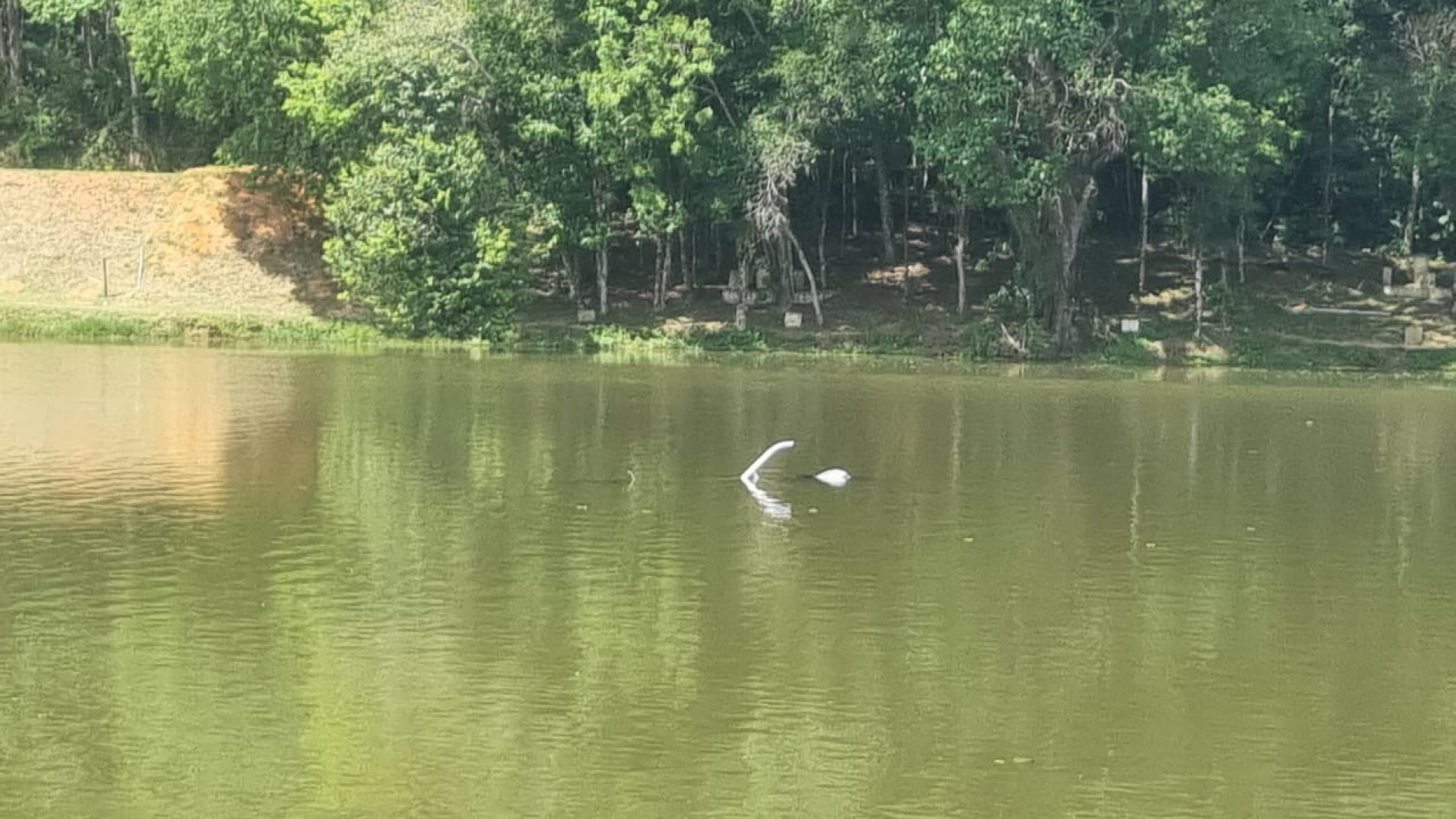 Duas pessoas estavam na aeronave