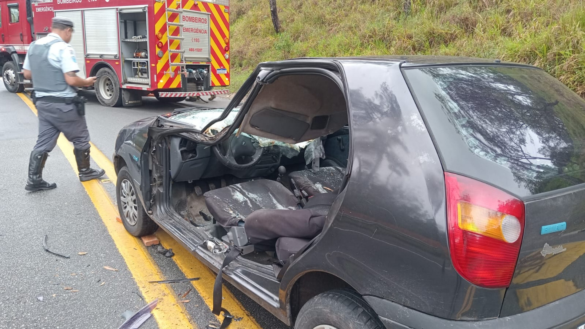 Árvore atinge veículo em movimento em rodovia 