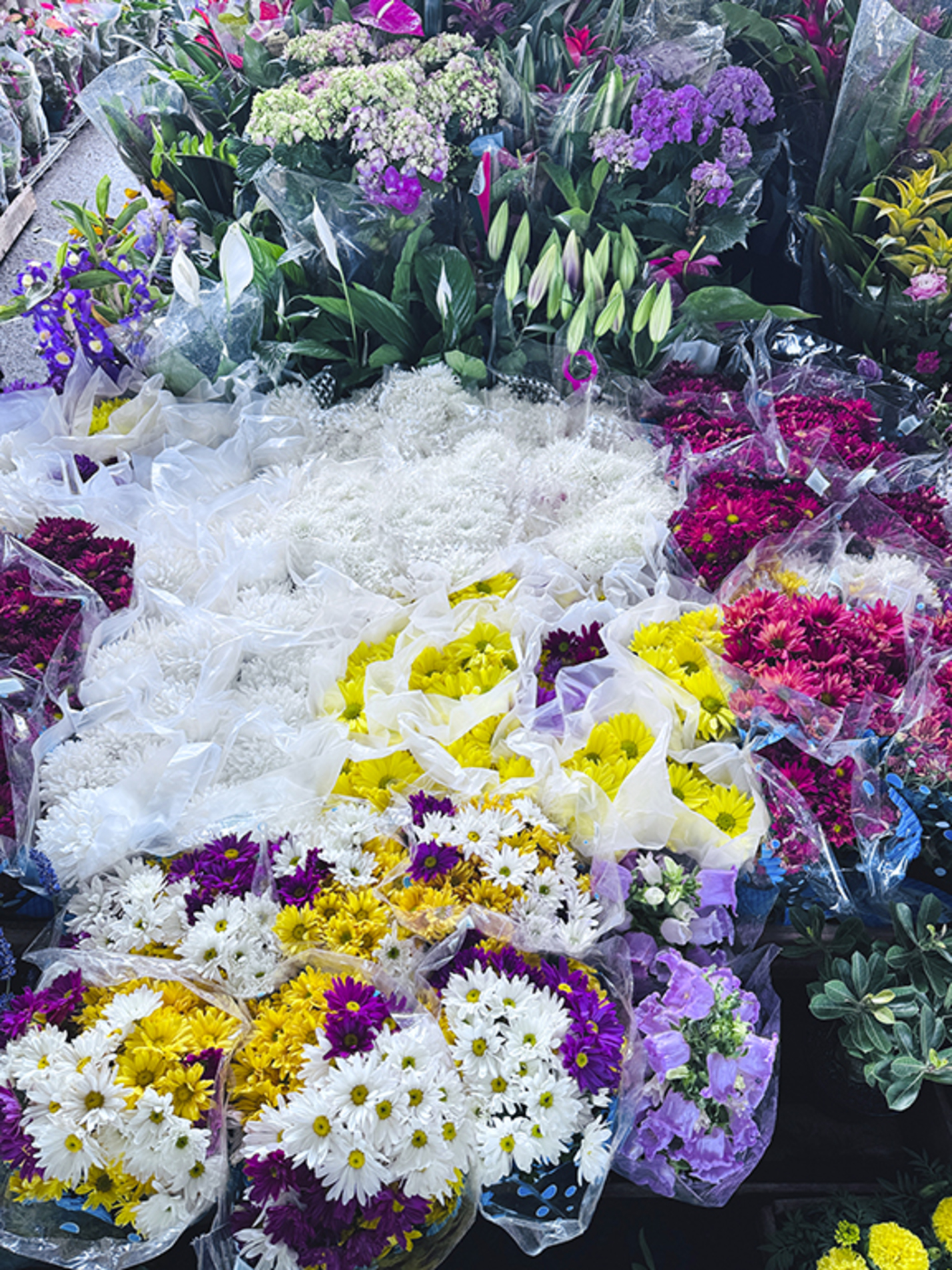 Segundo os comerciantes, as vendas de flores aumentam nos dias que antecedem o feriado
