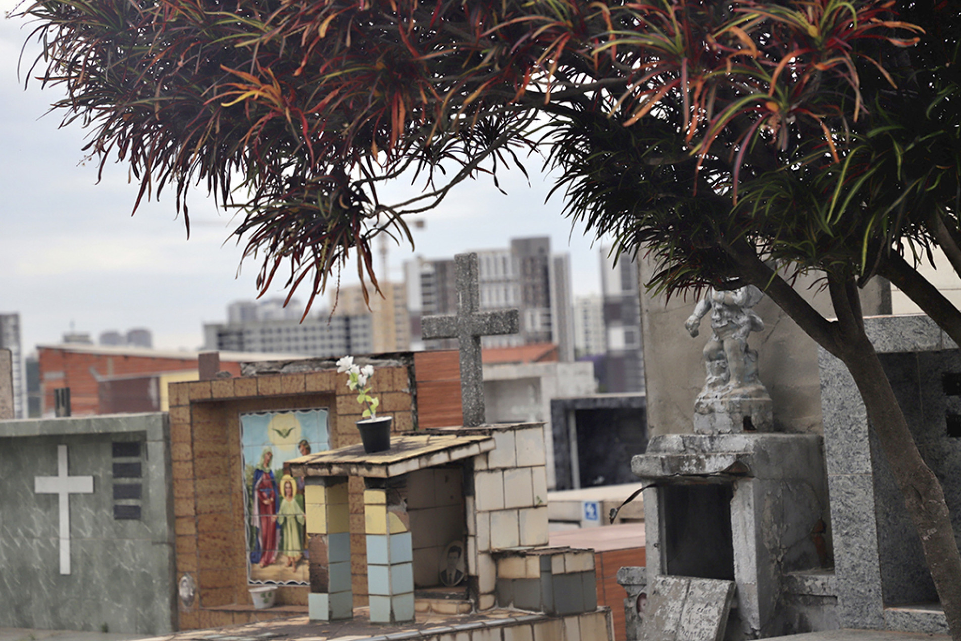 Cerimônias religiosas nos cemitérios no Dia de Finados marcam o domingo e devem impactar trânsito perto dos locais
