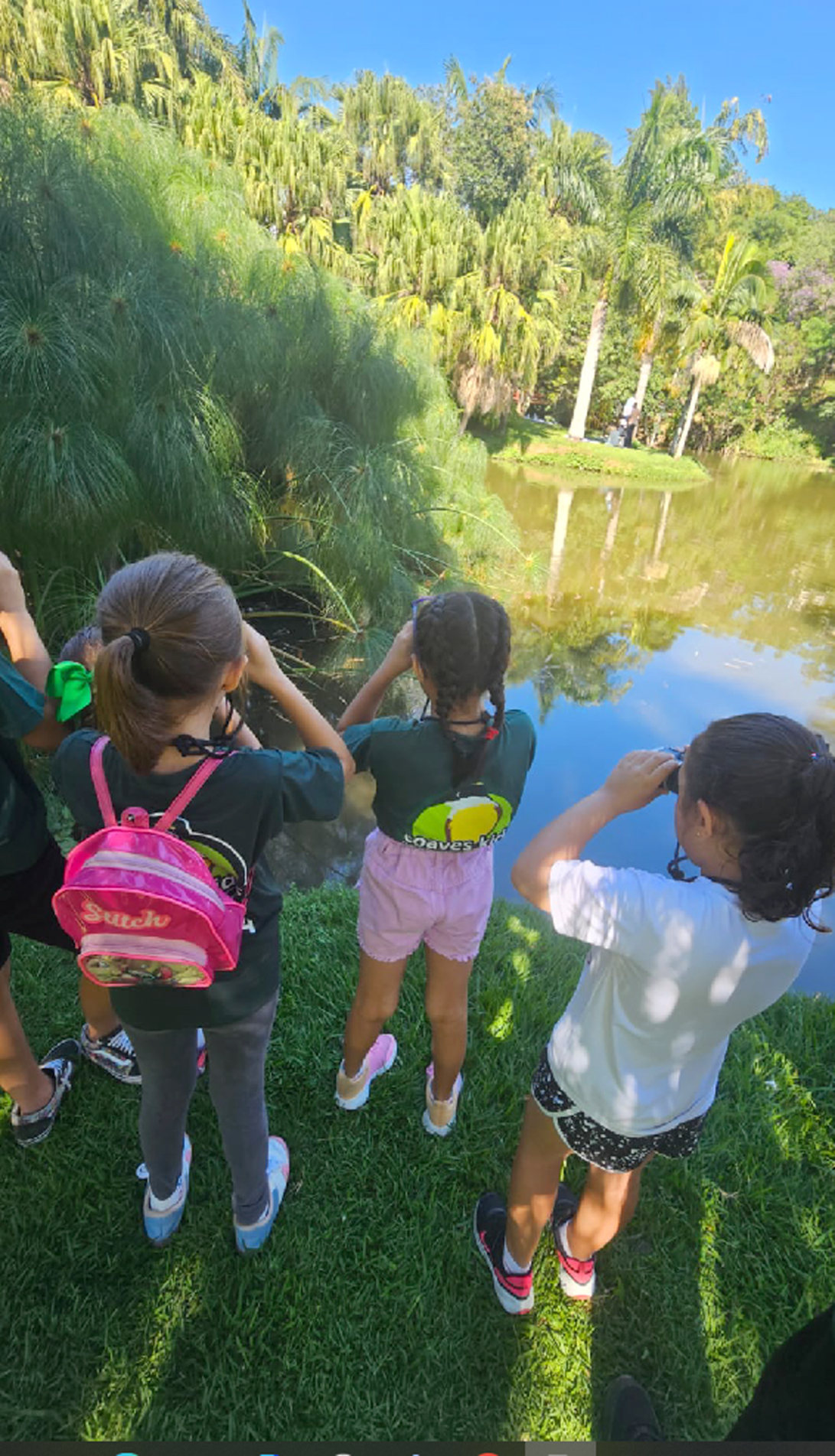 Binóculos apontados para o alto, os pequenos exploradores descobrem o prazer de observar a vida que voa
