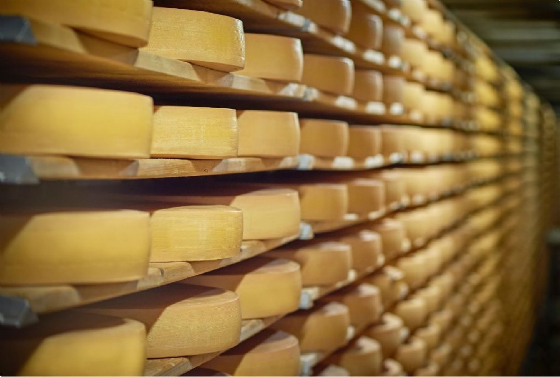 Dividido em oito rotas estruturadas, o programa abrange propriedades em 77 municípios paulistas. Na RMS, quatro cidades representam a diversidade do queijo artesanal regional