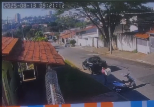 Animais foram abandonados em caixa de isopor