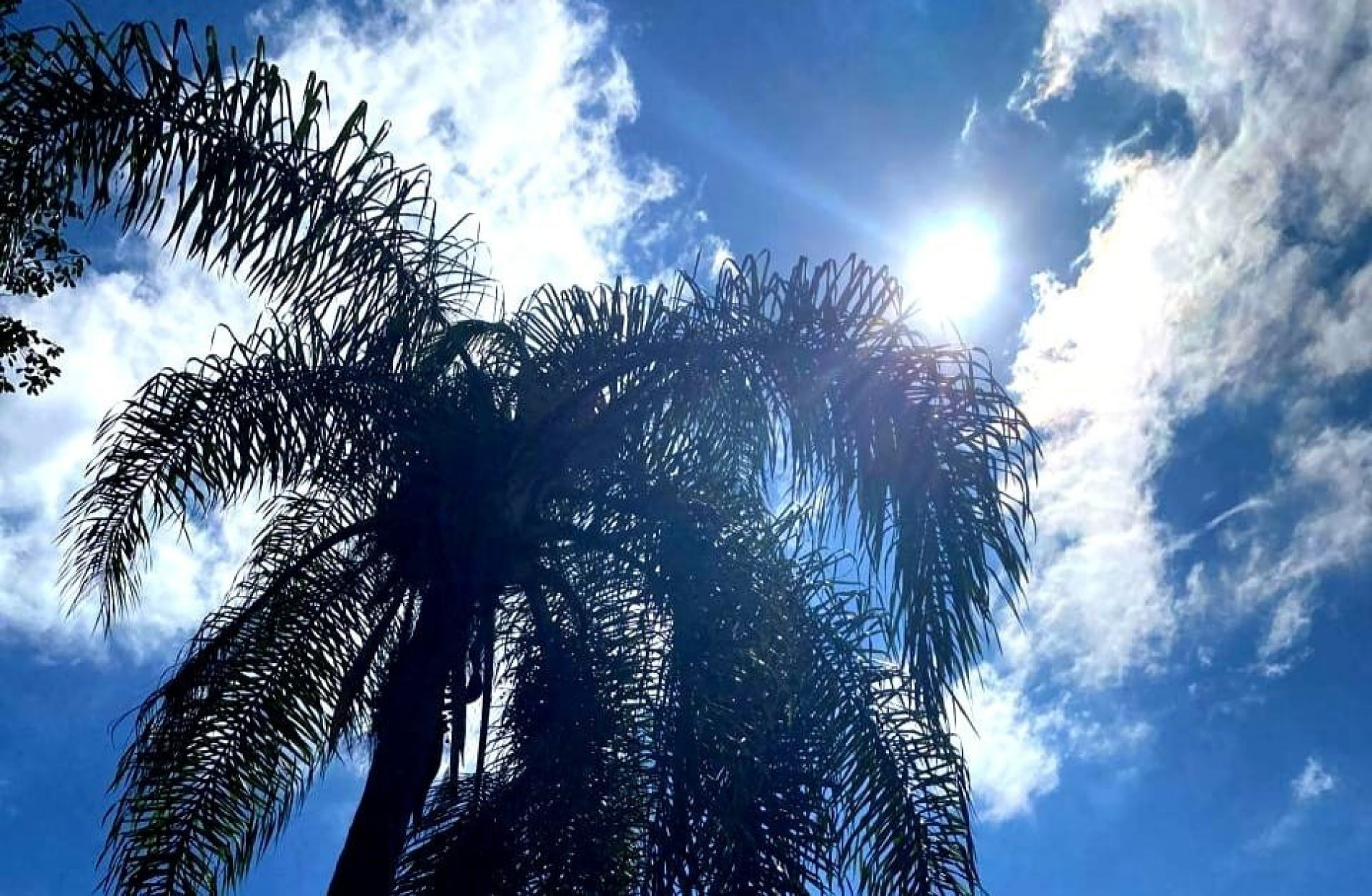  As temperaturas variam entre 12 °C e 30 °C