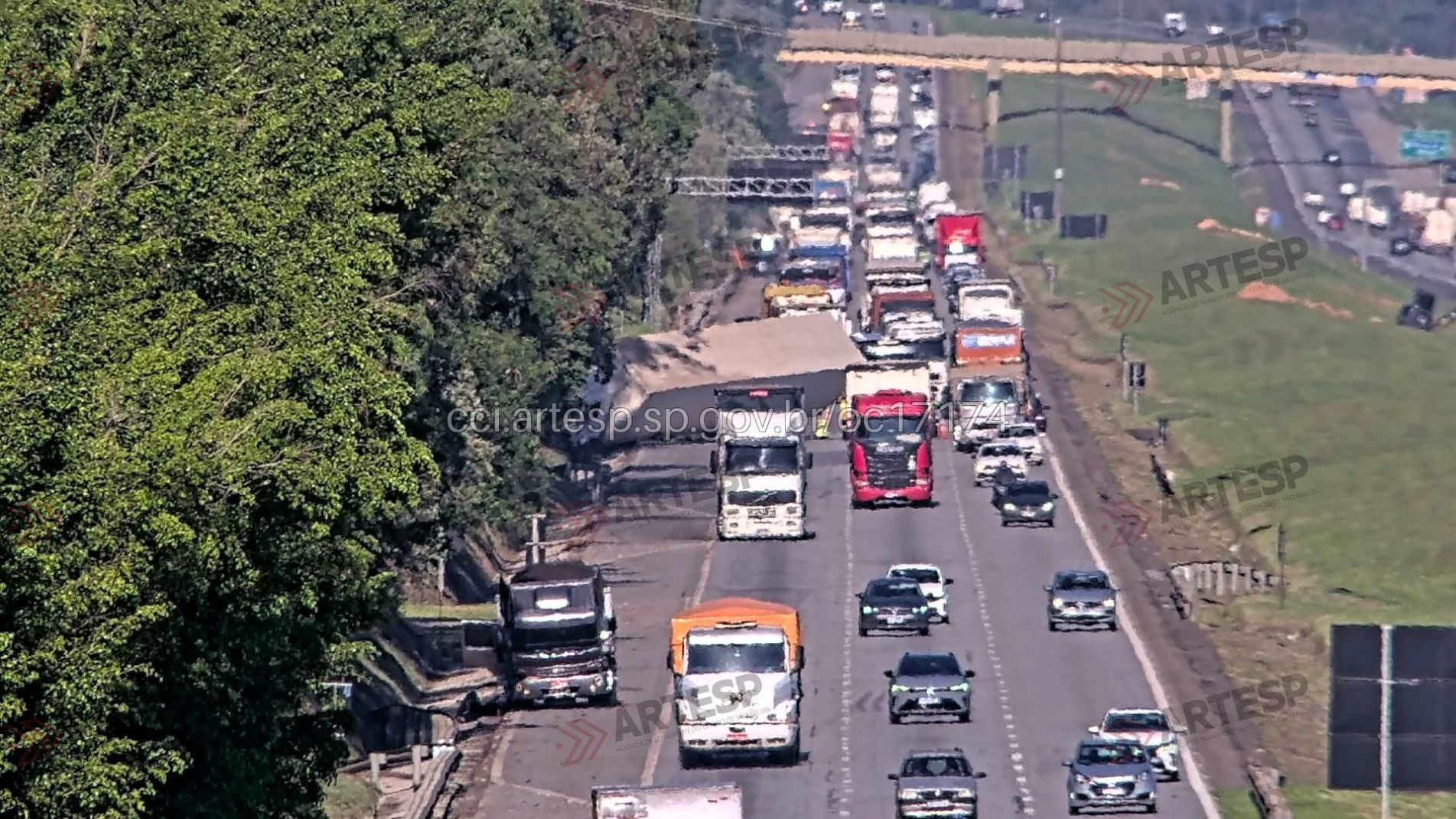 O condutor sofreu ferimentos leves e foi socorrido