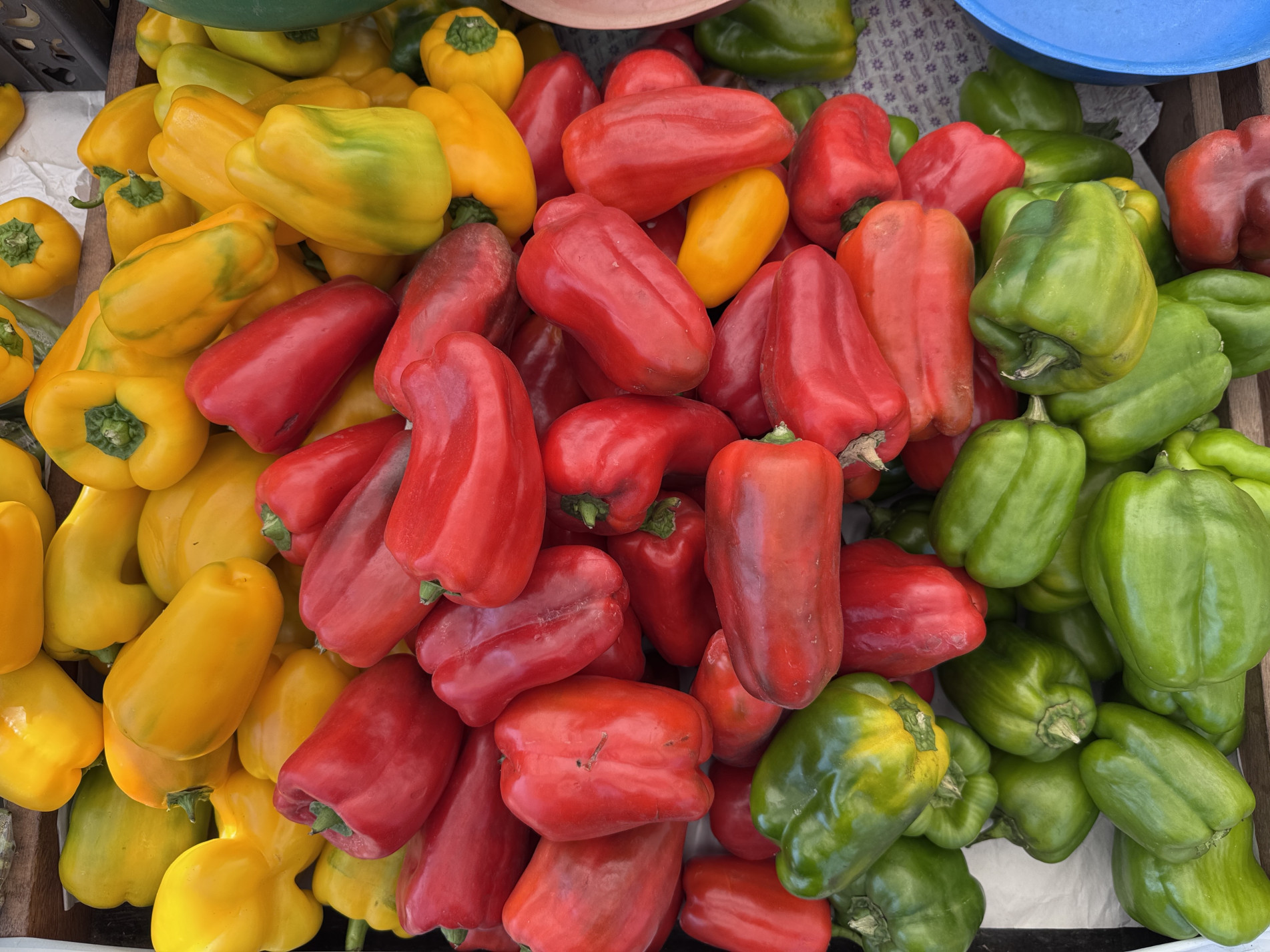 Duas variedades de pimentão apresentaram queda significativa nos preços; setor de legumes foi o que ficou mais barato