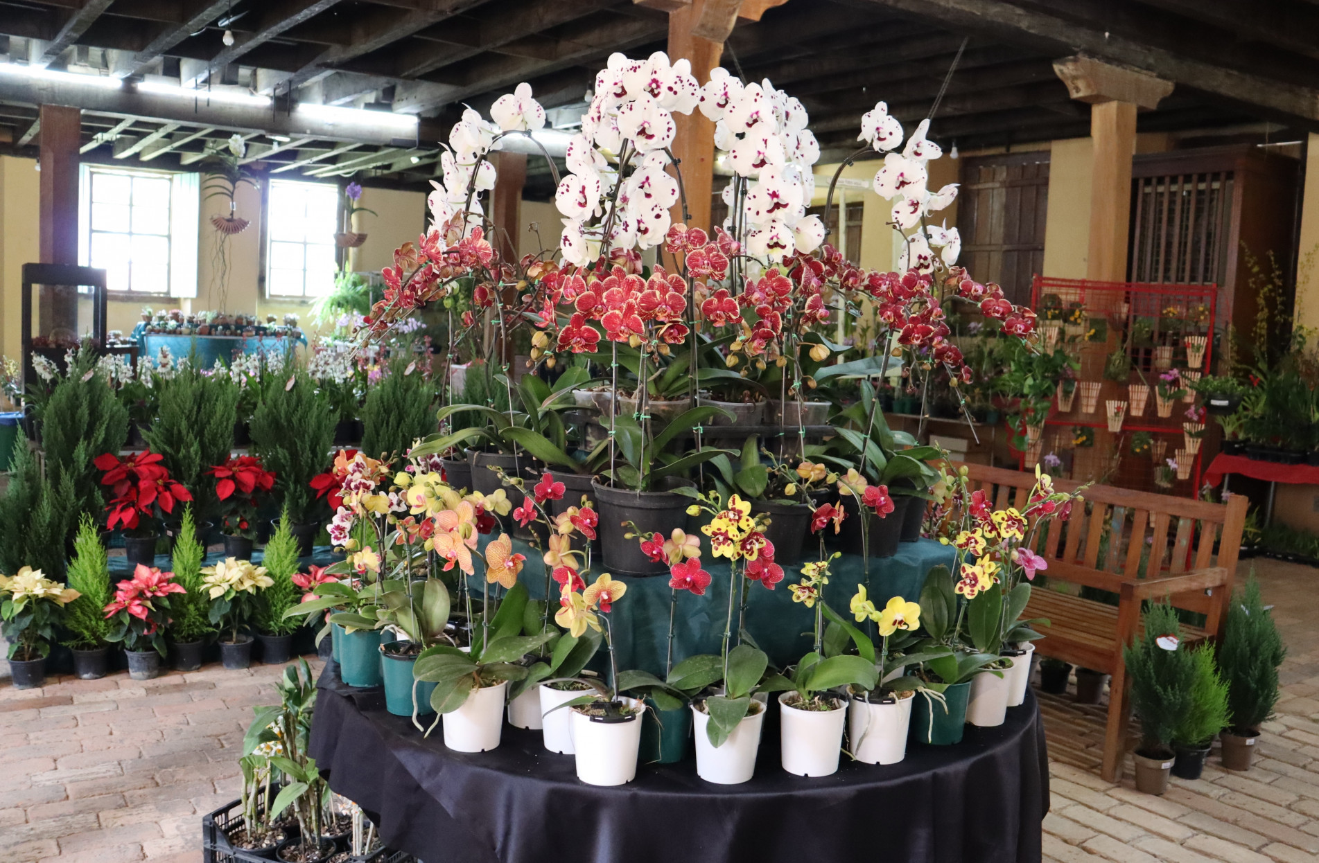 O evento também contará com expositores de antiguidades, artesanato, brinquedos educativos, terrários, utilidades domésticas, doces e itens de mesa posta