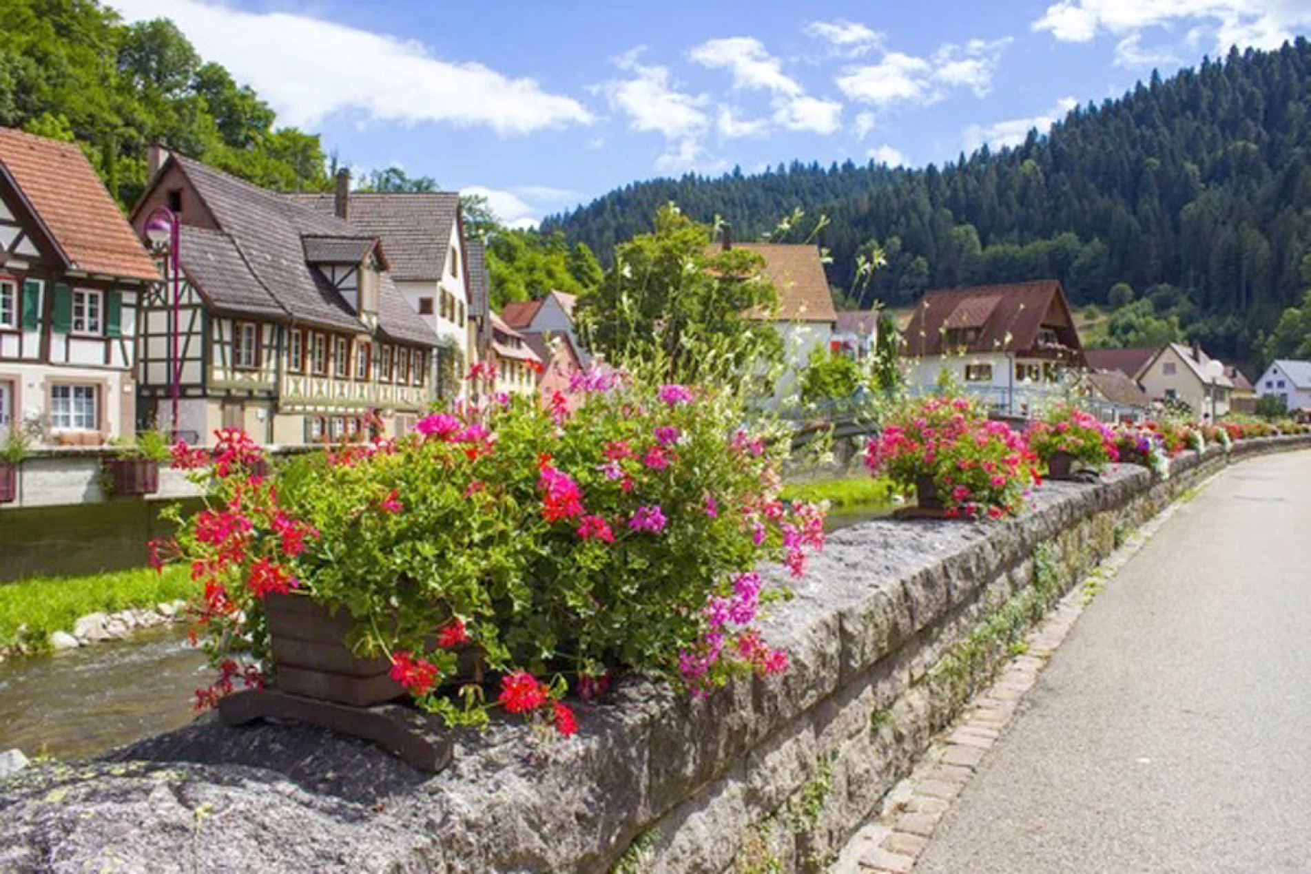 Entre árvores altíssimas e vilarejos, a Floresta Negra parece saída de um conto de fadas