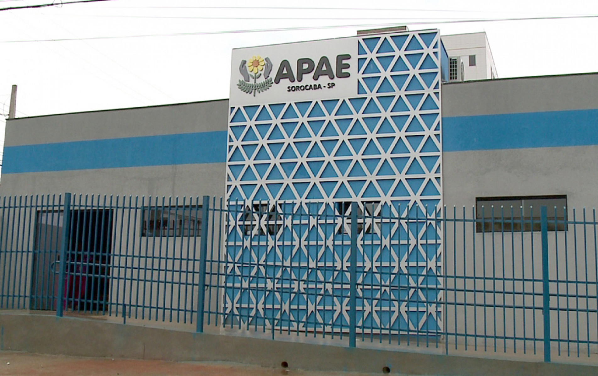 Federação das Apaes deve levar discussão do tema para audiências públicas 
