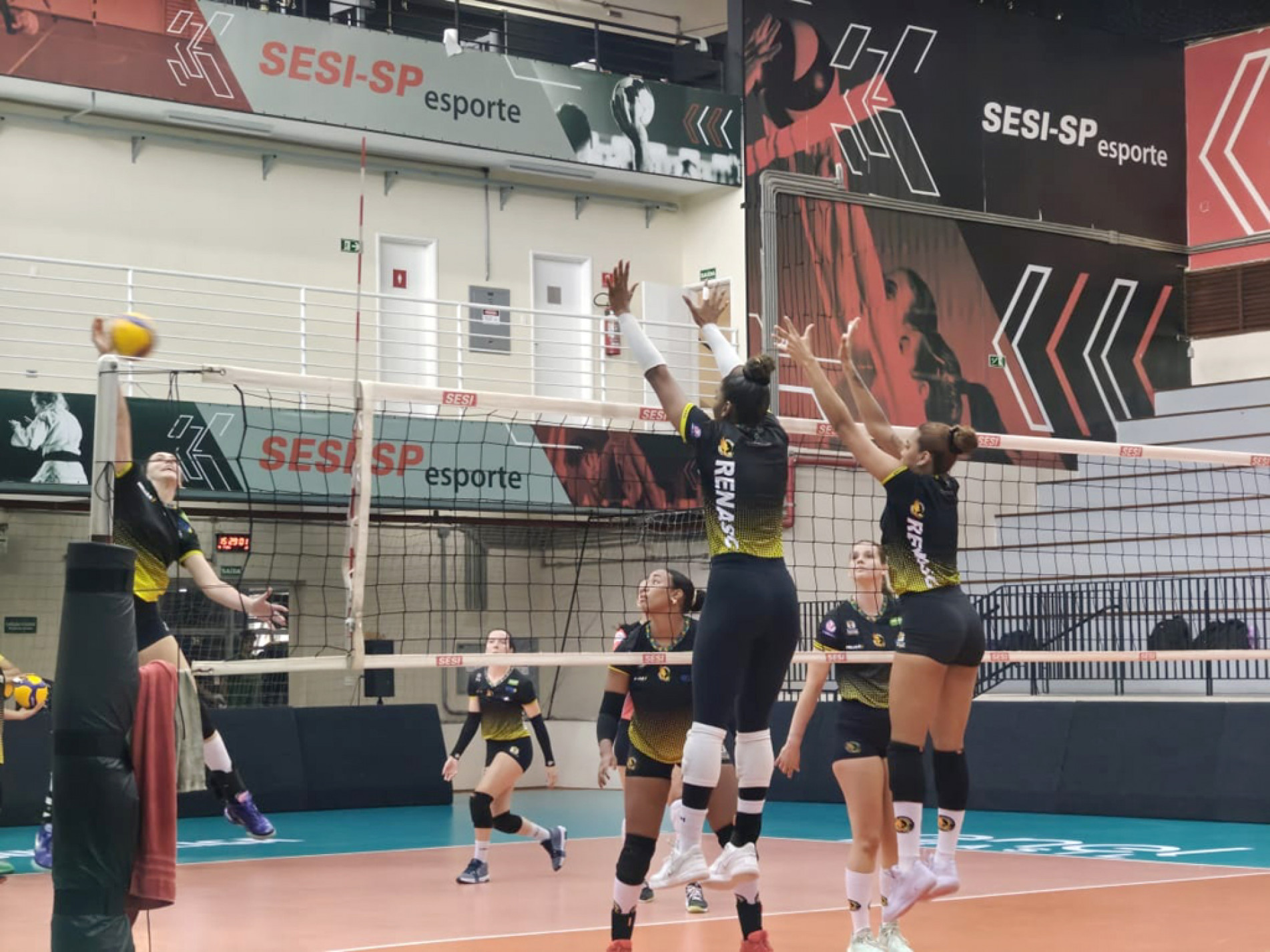 Jogadoras intensificam treinos de ataque contra bloqueio, defesa, saque, passe e side out 