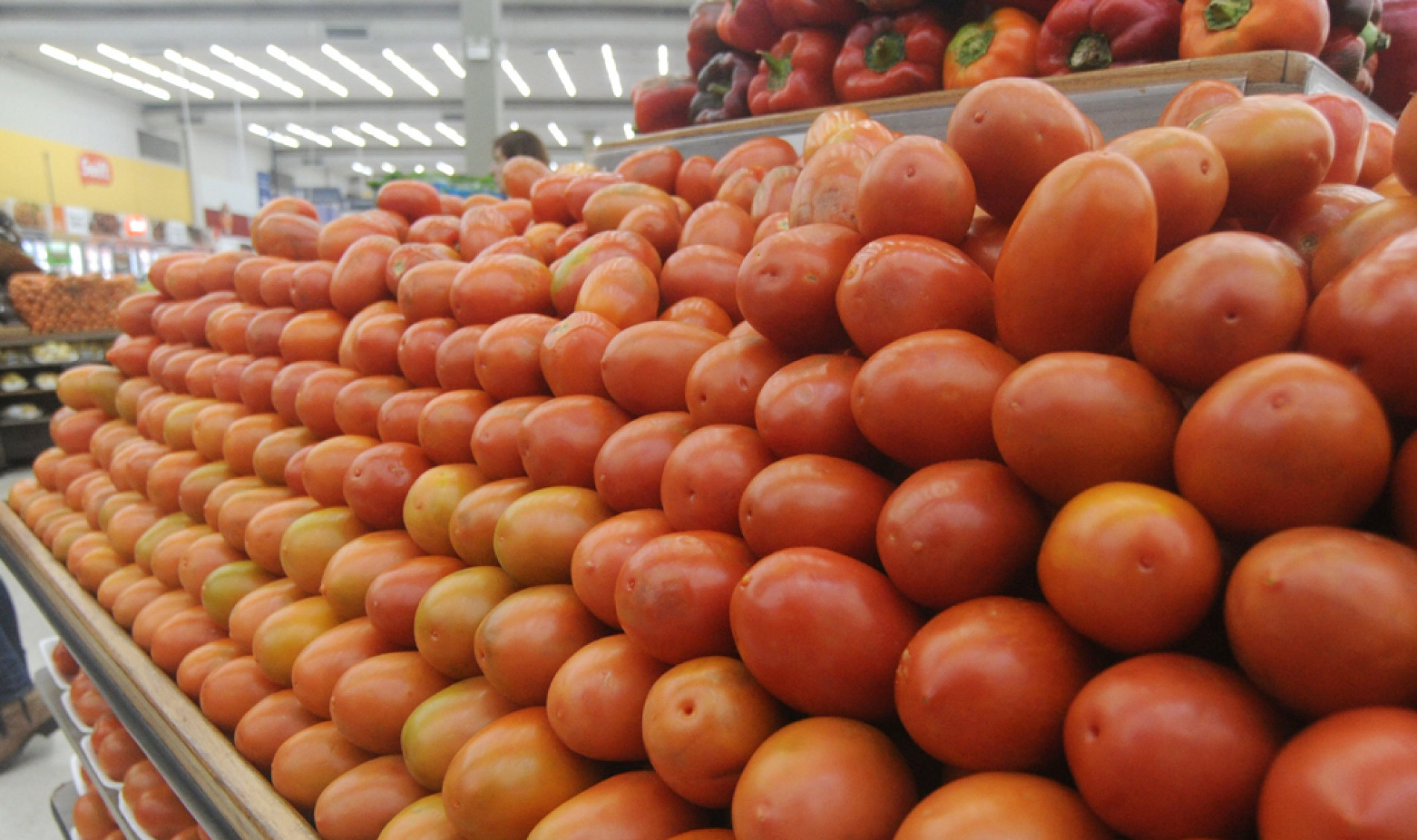 Tomate teve a maior variação: de R$ 3,75 a R$ 12,90, diferença de 244%
