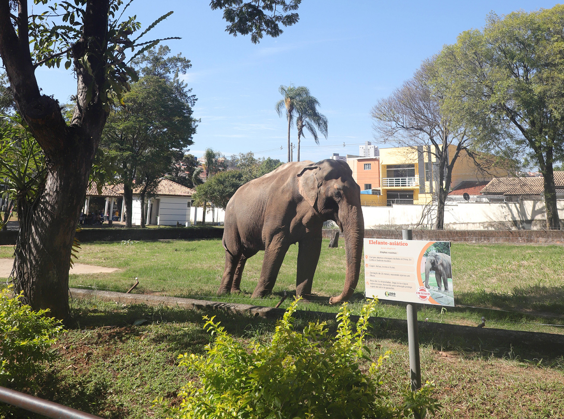De acordo com a Prefeitura de Sorocaba, existe um projeto de melhorias no recinto, que estaria aguardando licitação
