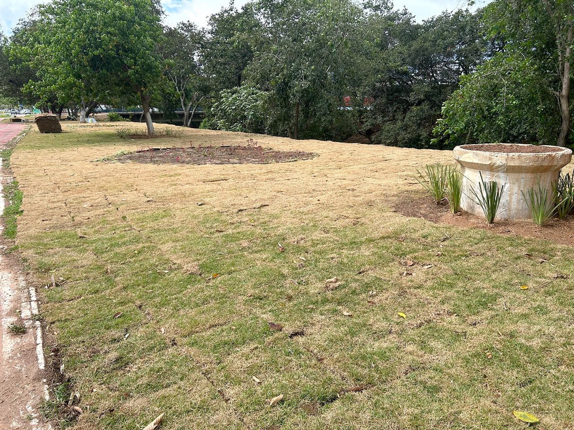 Projeto inclui intervenções de paisagismo e recomposição ambiental