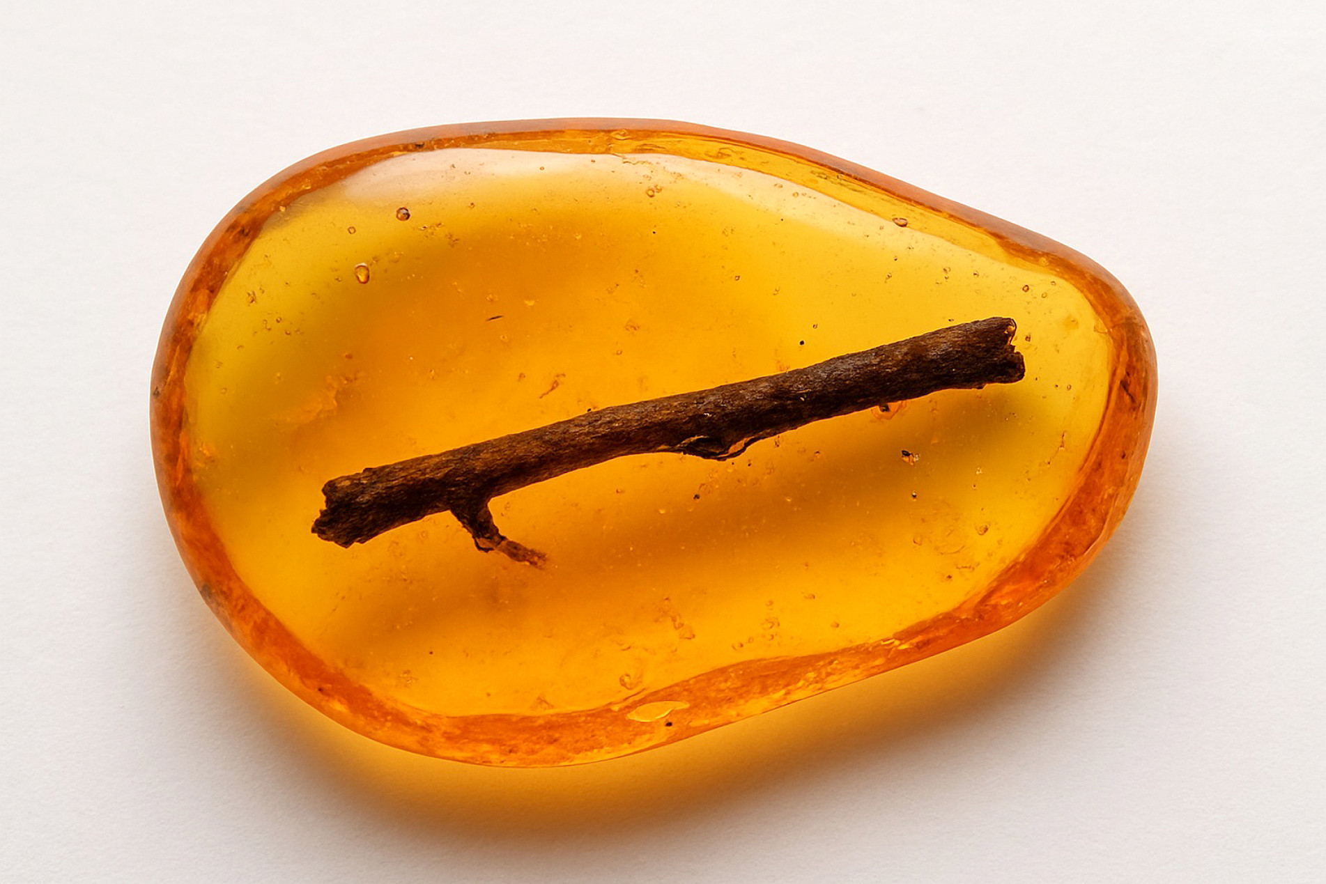 Pedacinho de madeira preso no âmbar revela sinais de um incêndio pré-histórico
