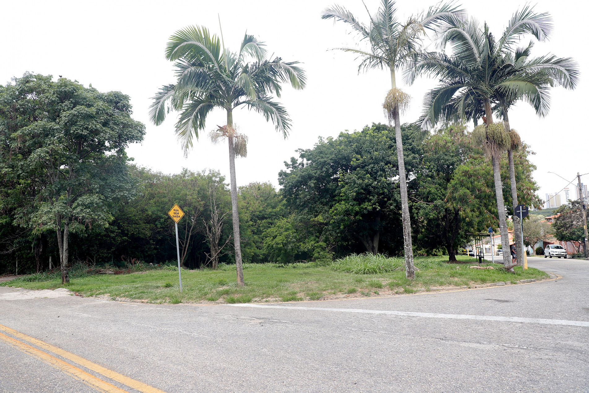 Área de 5,4 mil metros quadrados
fica no Jardim São Carlos 
