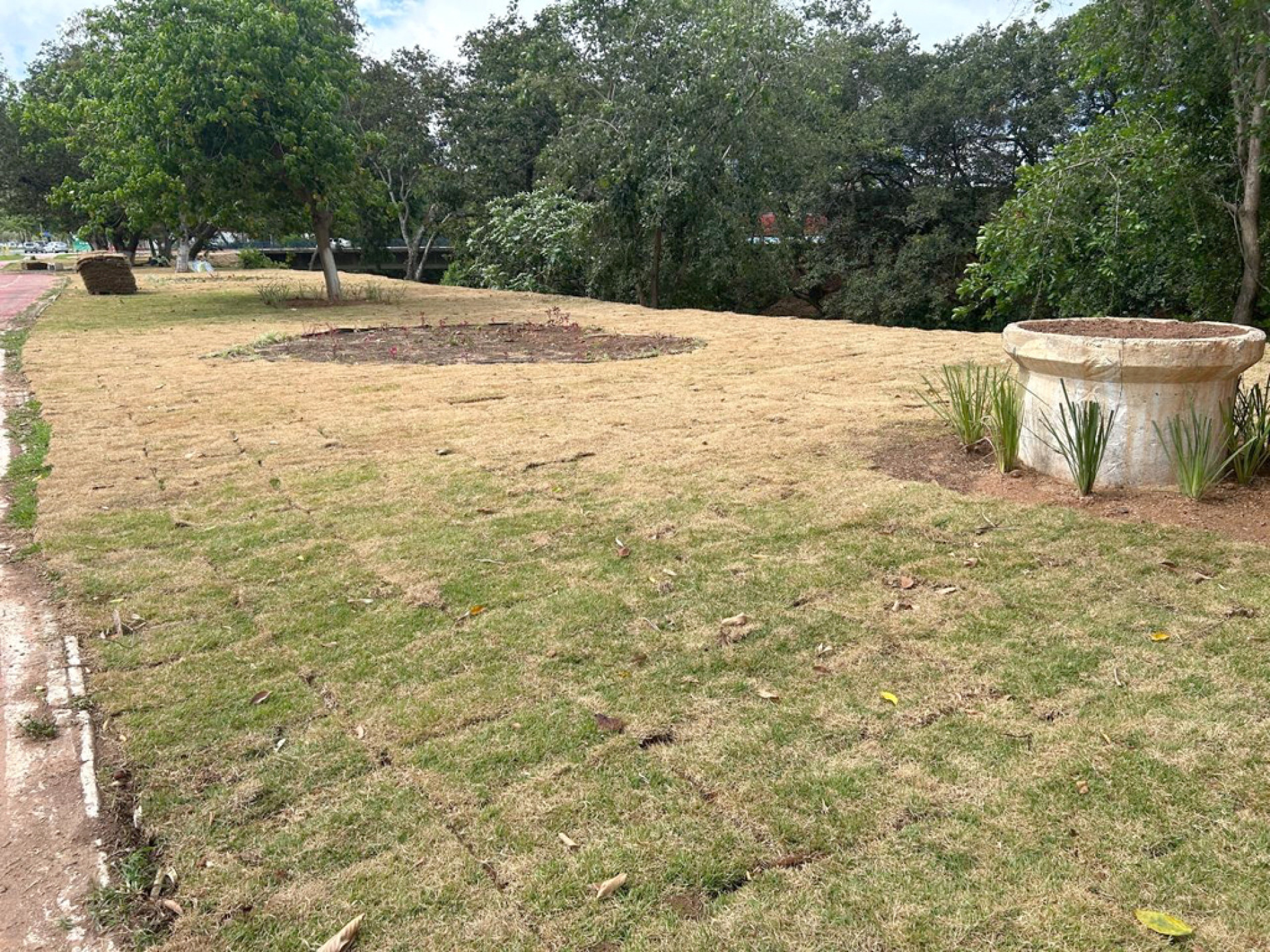 Além dos critérios técnicos, o espaço possui forte potencial de uso social. A área fica ao lado da Praça Lecy de Campos, tradicional ponto de encontro dos moradores
