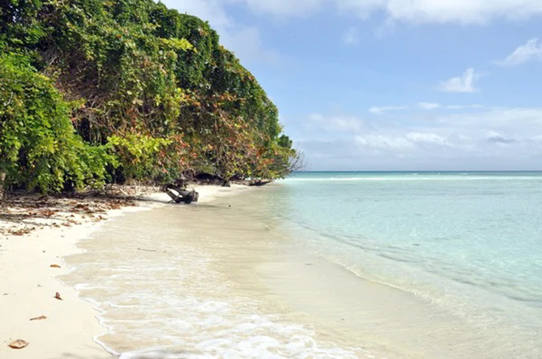 
Praia de águas transparentes e areia branquinha, típica do litoral paradisíaco 
