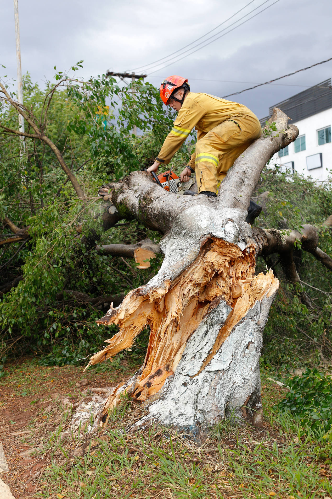 Os bombeiros atenderam ao menos 20 ocorrências após as chuvas