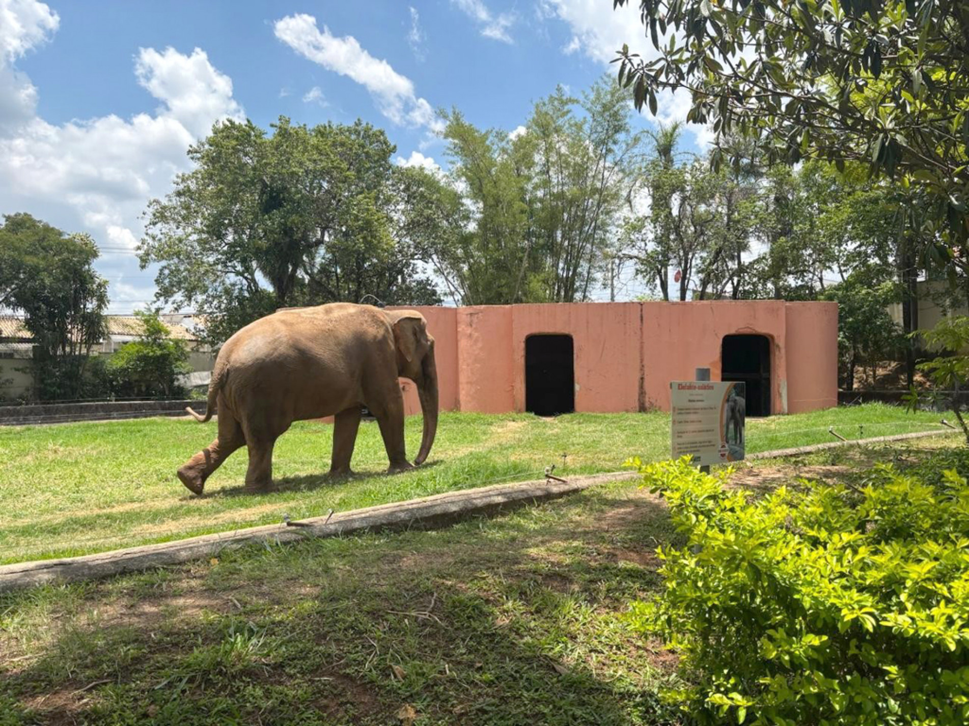 Adequações para o bem-estar do animal foram determinadas pelo Ibama 

