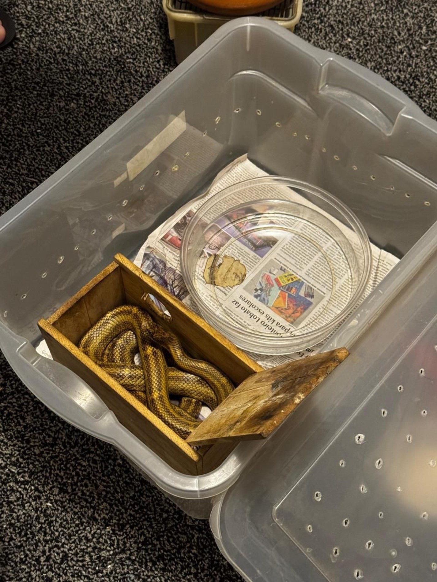 Os responsáveis pelo local, mãe e filho, foram levados à Delegacia Seccional em situação de flagrante