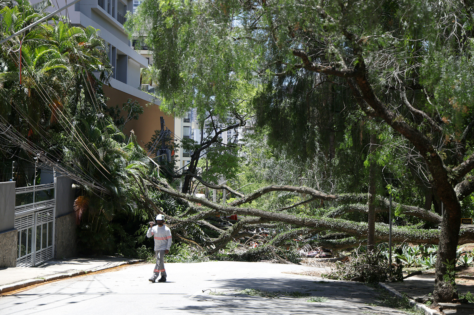 Quedas de árvores interromperam fornecimento de energia
