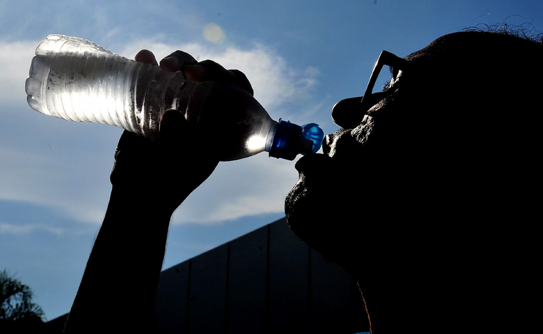 Segundo a nutricionista, a hidratação deve ser constante; a quantidade ideal pode ser estimada multiplicando o peso corporal por 35 ml
