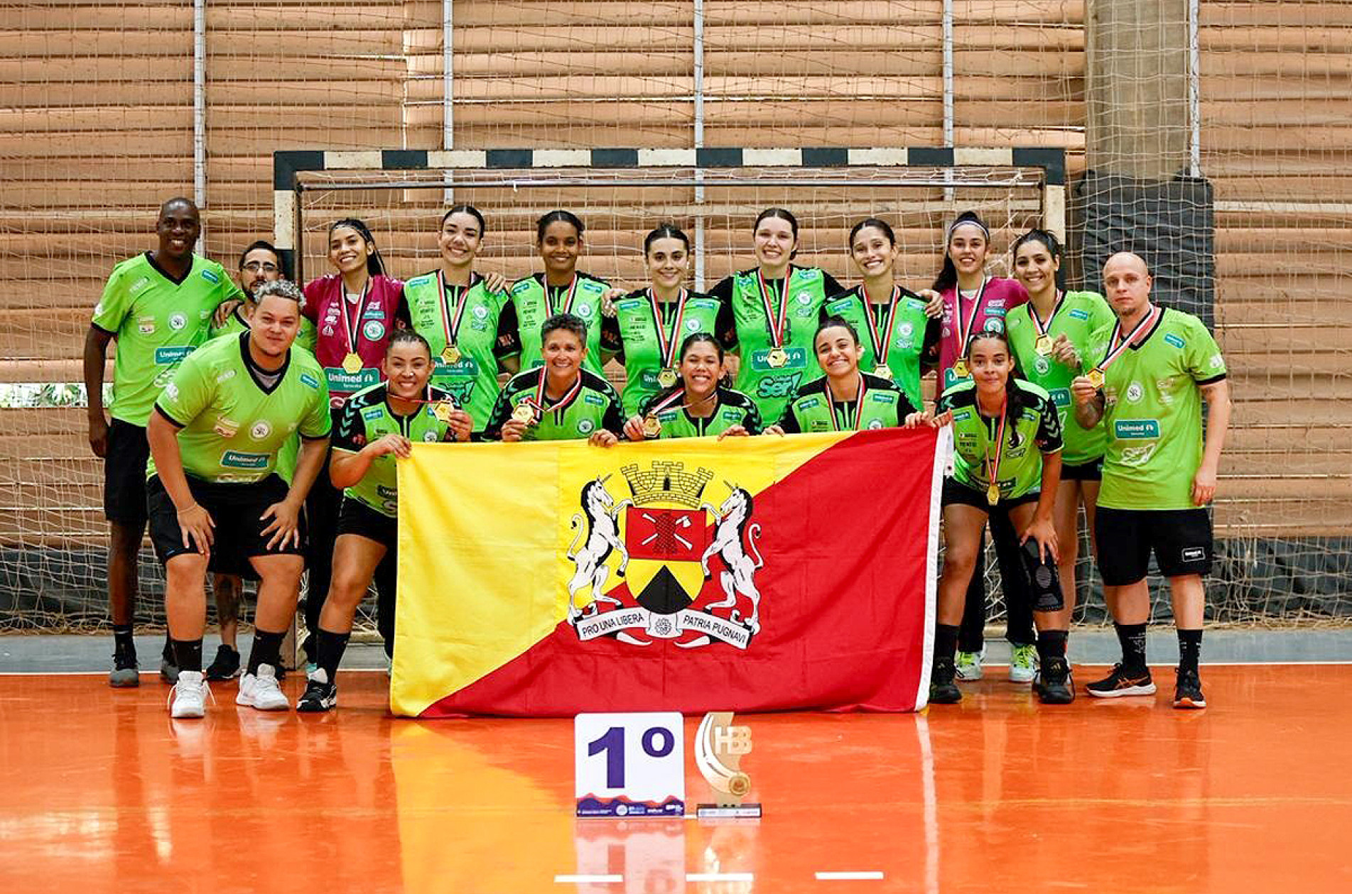 Handebol feminino