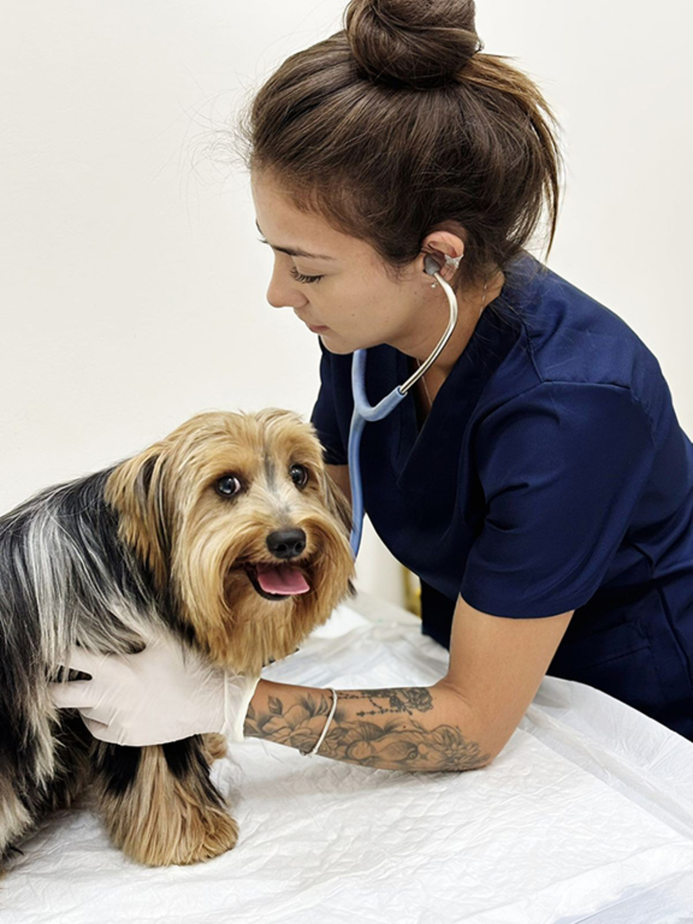 A médica veterinária Luana Matias explica que o tutor deve 