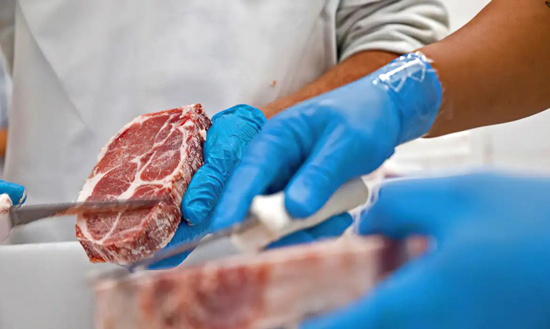 Salvaguarda entrou em vigor ontem e tem a duração prevista para três anos
