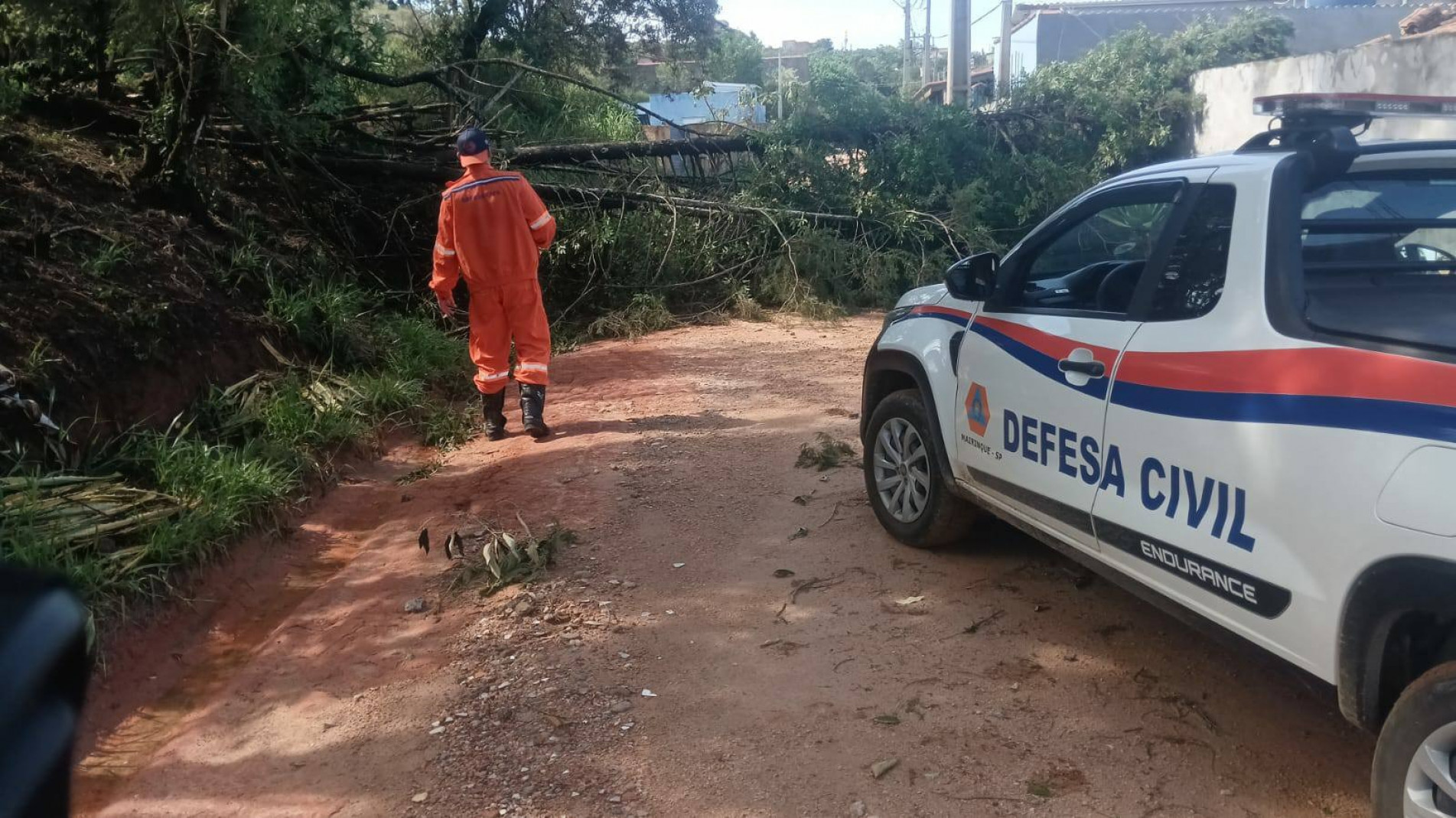 Em Mairinque, o vendaval ocasionou 130 chamados relacionados à queda de árvores
