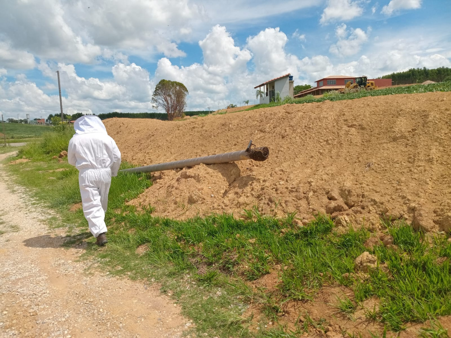O Serviço de Atendimento Móvel de Urgência (Samu) realizou a remoção das vítimas, que receberam atendimento médico e foram medicadas