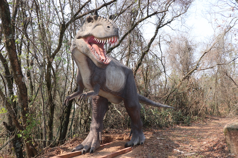 No Parque Rocha Moutonnée as atividades incluem escavação de réplicas de dinossauros em MDF e caça ao tesouro
