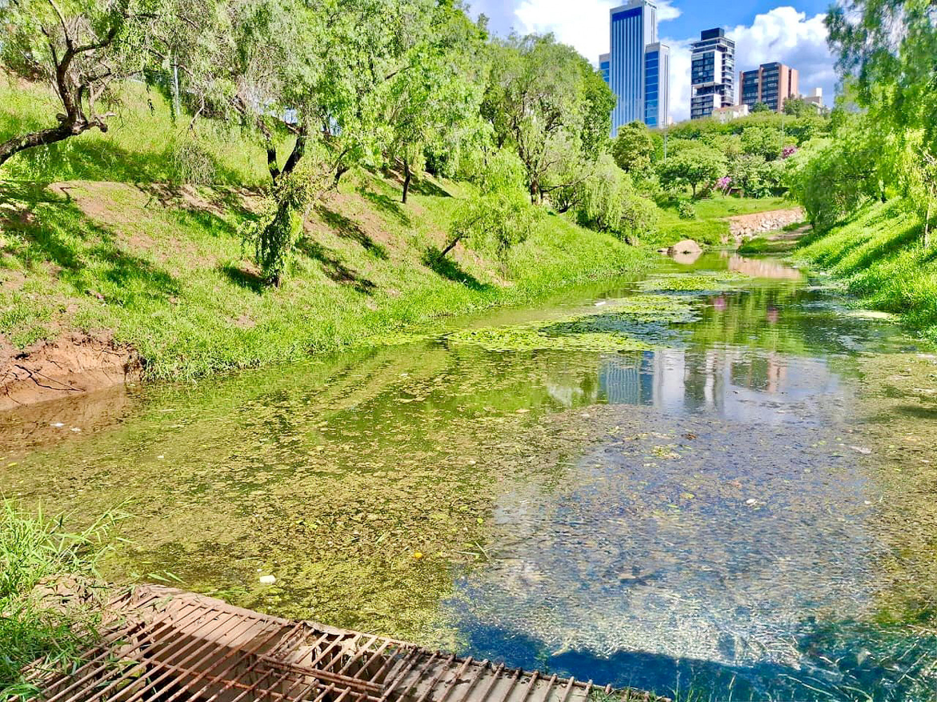 Na ação ocorreram retirada dos resíduos na 
primeira das três bacias no Parque Carlos Alberto 
de Souza, ao longo da avenida Domingos Júlio