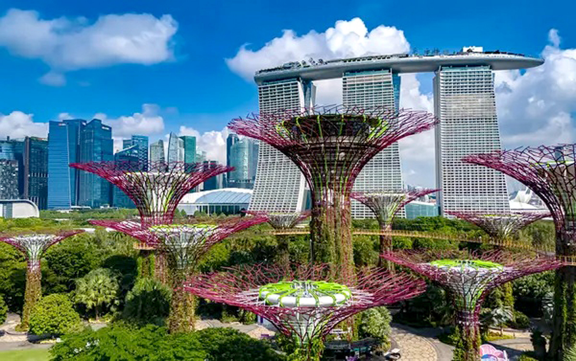 Nos jardins futuristas de 
Singapura, árvores gigantes brilham à noite como guardiões secretos da natureza
