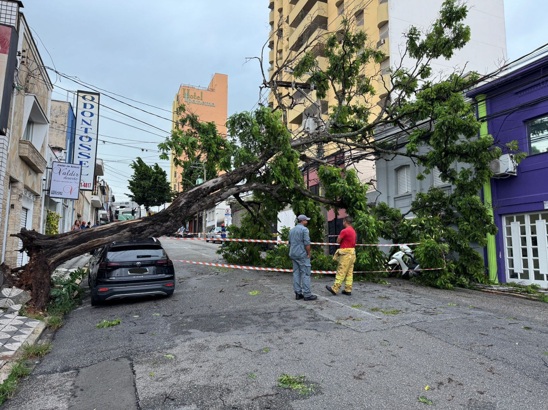Os bombeiros aguardam o desligamento da energia elétrica pela CPFL para iniciar a retirada da árvore