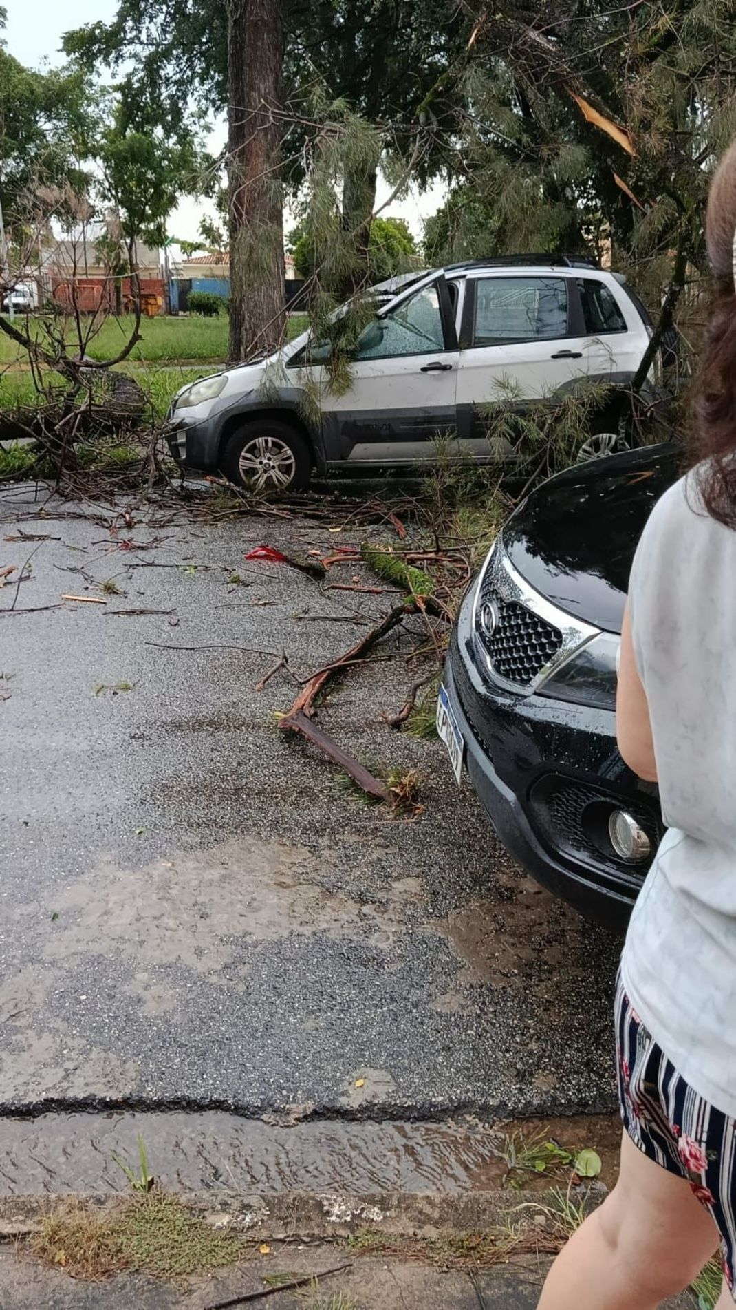 Uma &aacute;rvore caiu em cima de dois carros na rua Salvador Pereira de Camargo, no bairro &Eacute;den