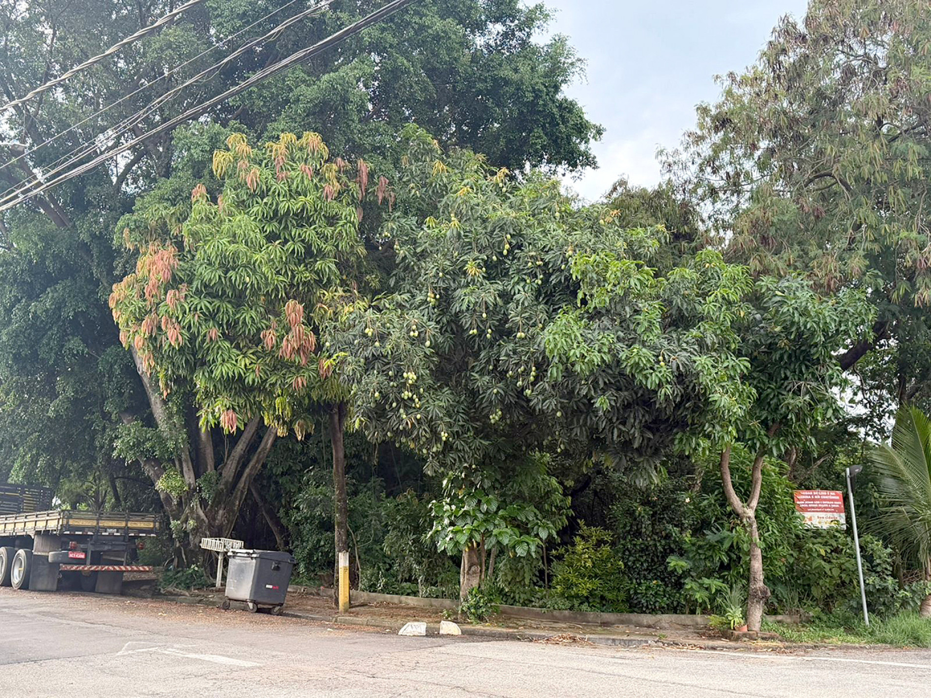 Imóvel, com 5.402 metros quadrados, está localizado no Jardim São Carlos e 
deixaria de integrar o patrimônio do município para ser transferido à Acap