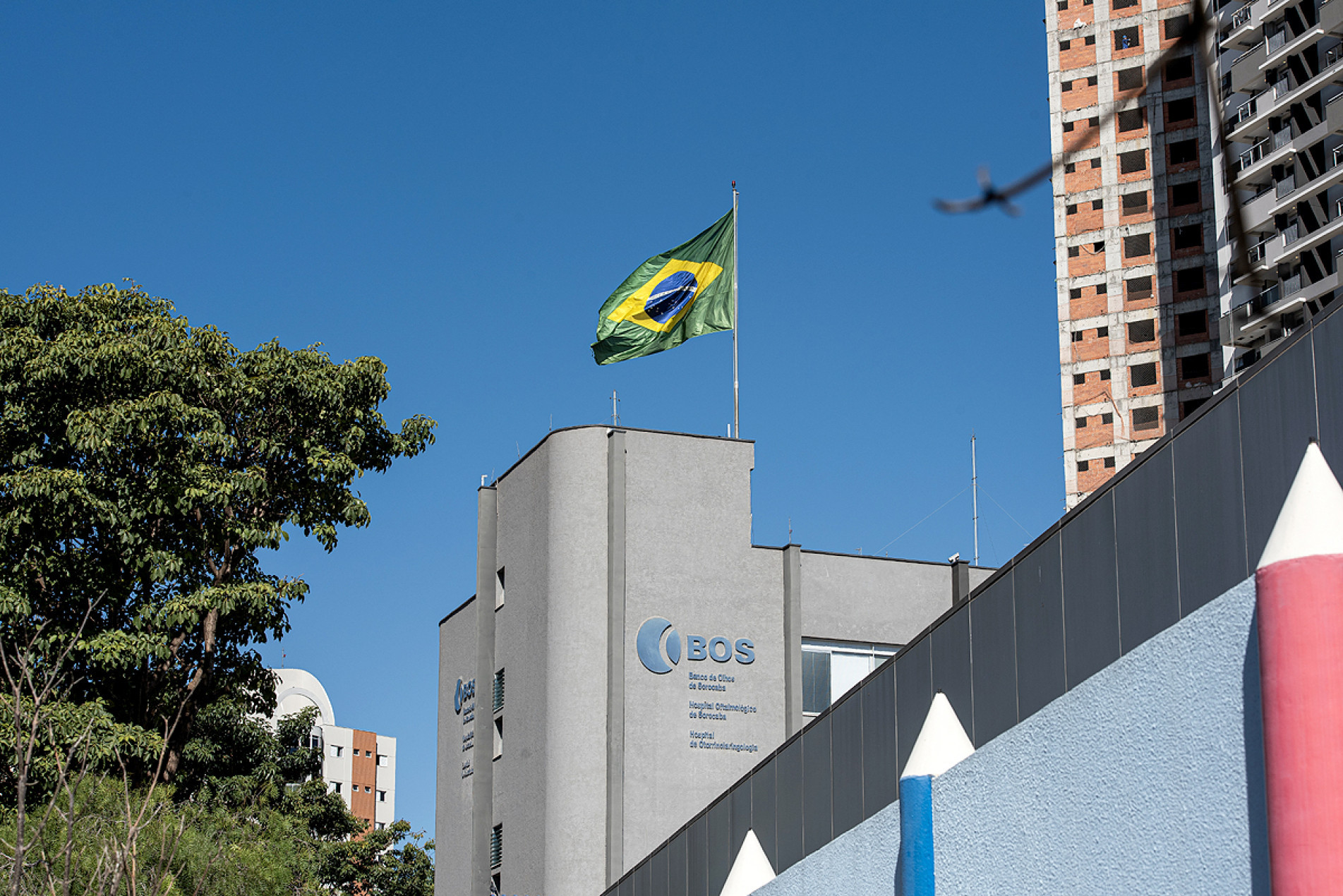 Captação de córneas e ampliação de cirurgias ajudam a reduzir 
a fila por transplantes no Estado de São Paulo