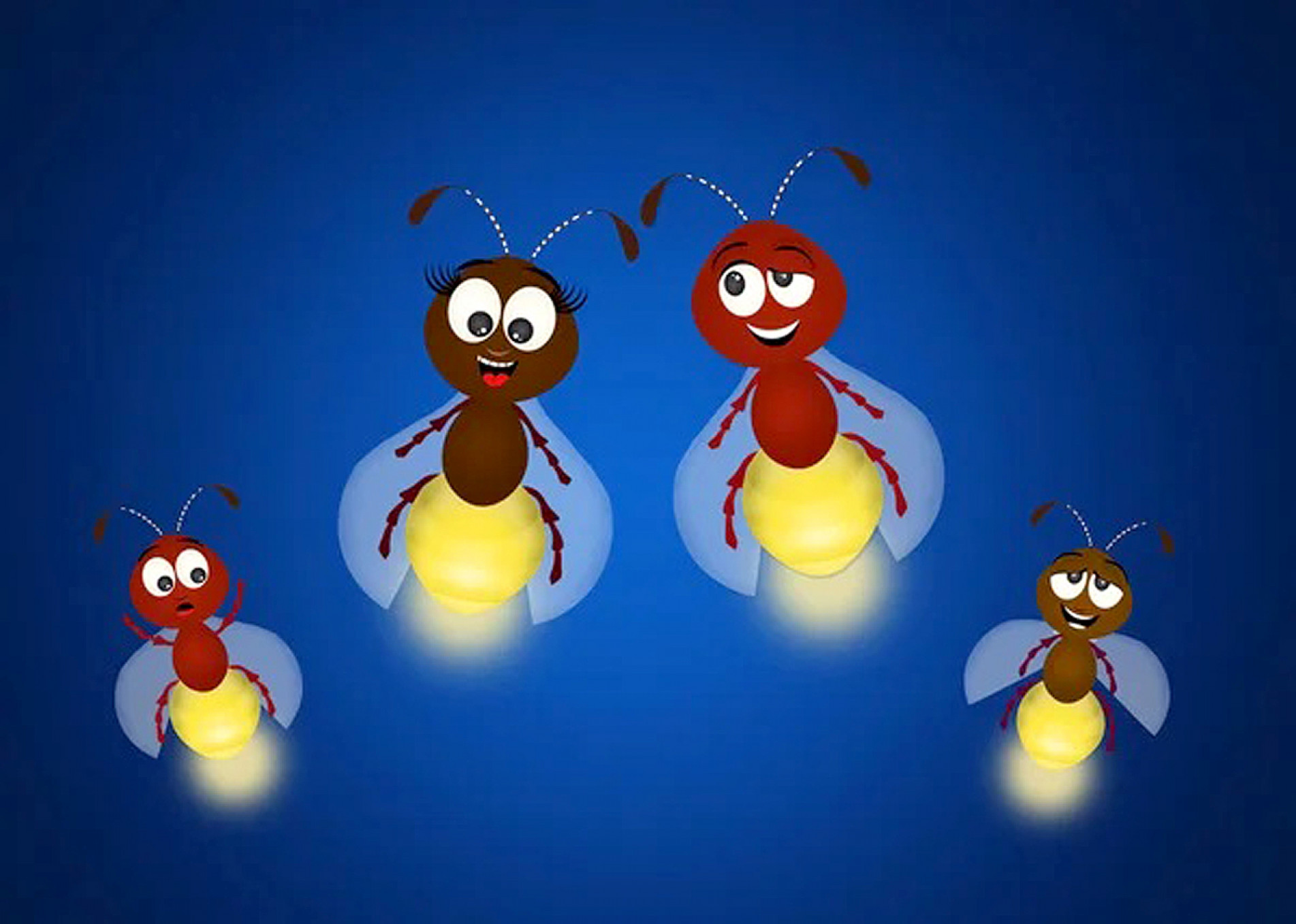 O brilho dos 
vagalumes transforma 
a noite em um espetáculo 
natural
