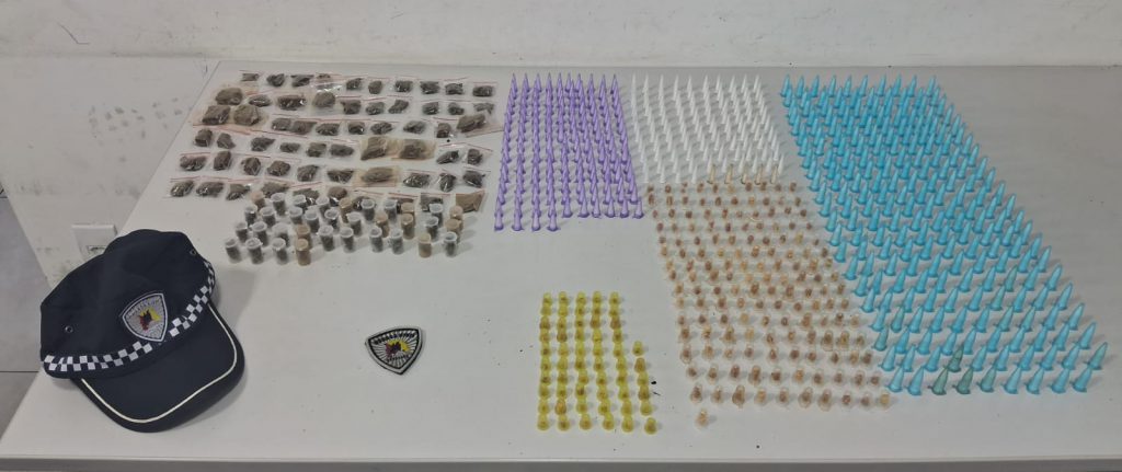 Foram apreendidas no total 773 porções de drogas